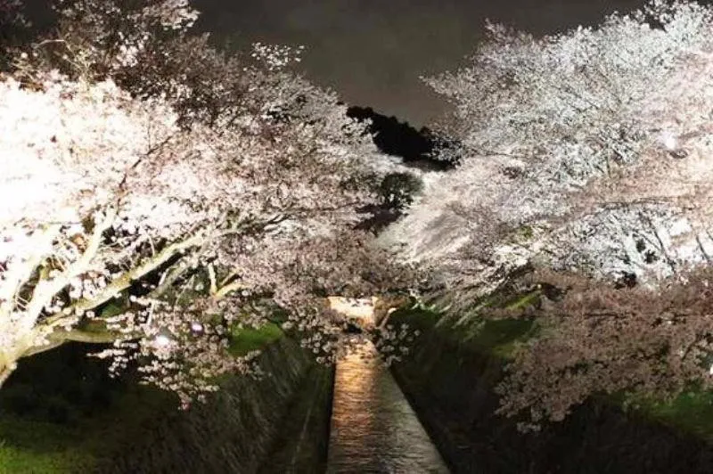 Nearby landmark in Guest House Hana