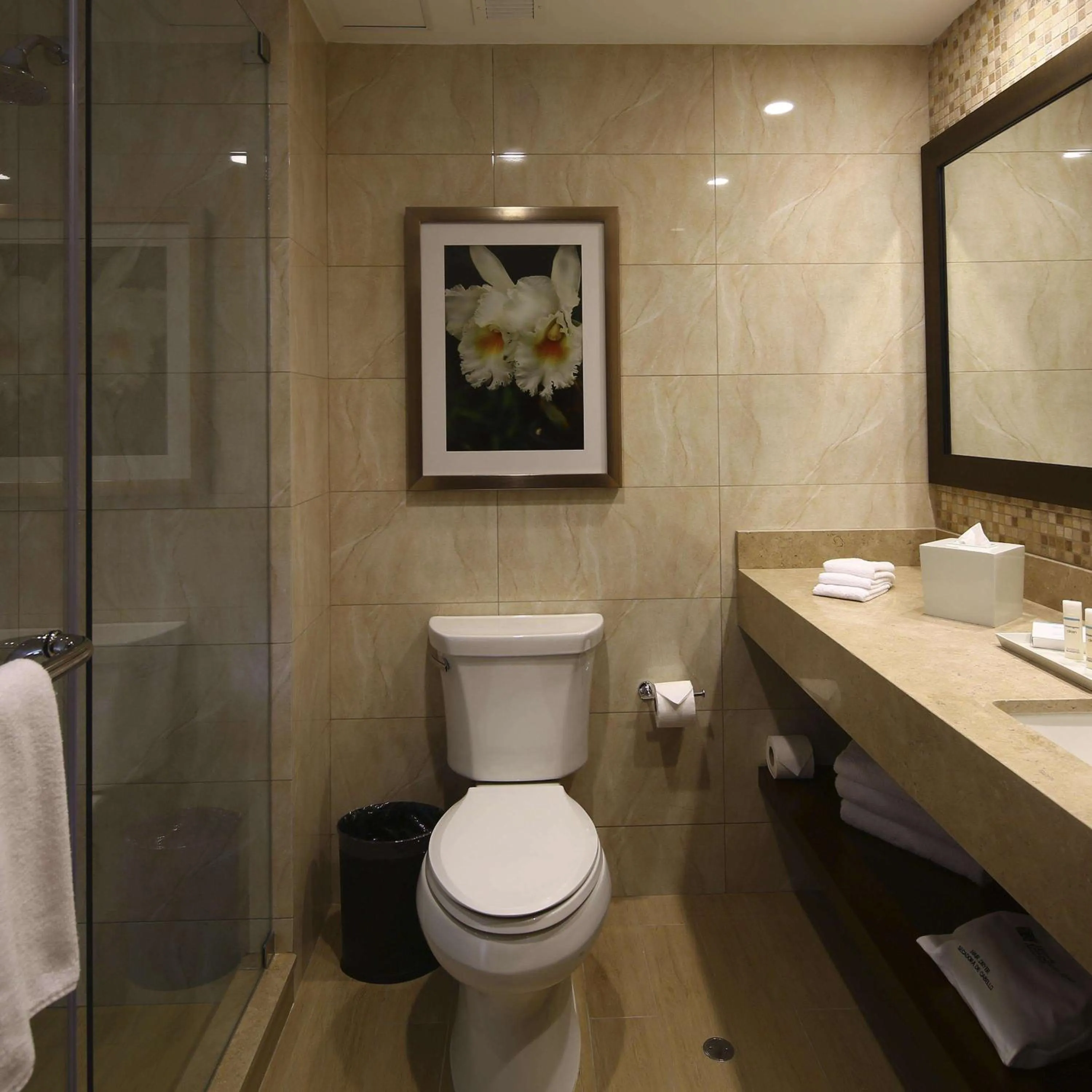 Bathroom in Hilton Garden Inn Cusco