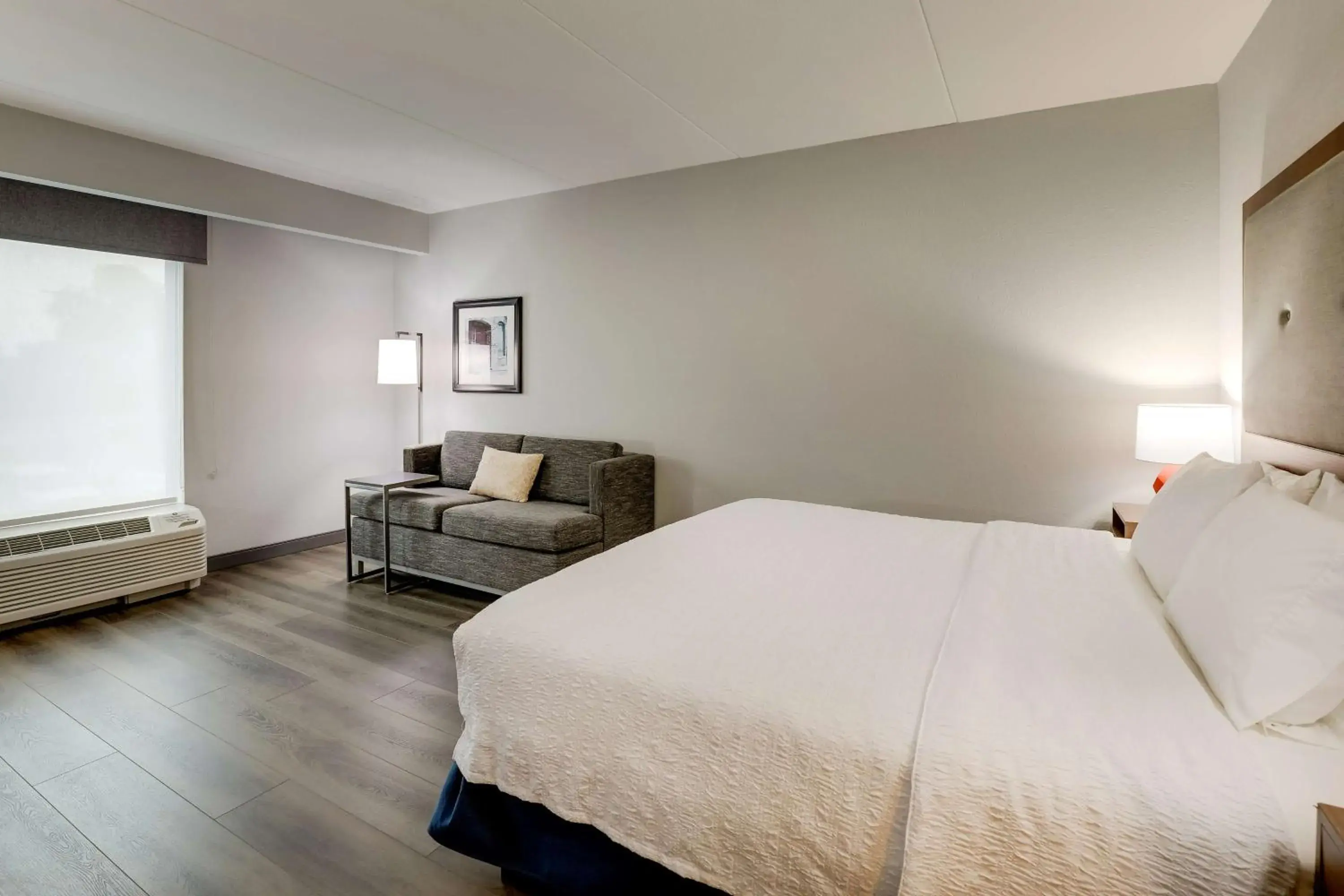 King Room with City View - Non-Smoking in Hampton Inn and Suites Rome, GA King Room with City View - Non-Smoking in Hampton Inn and Suites Rome, GA