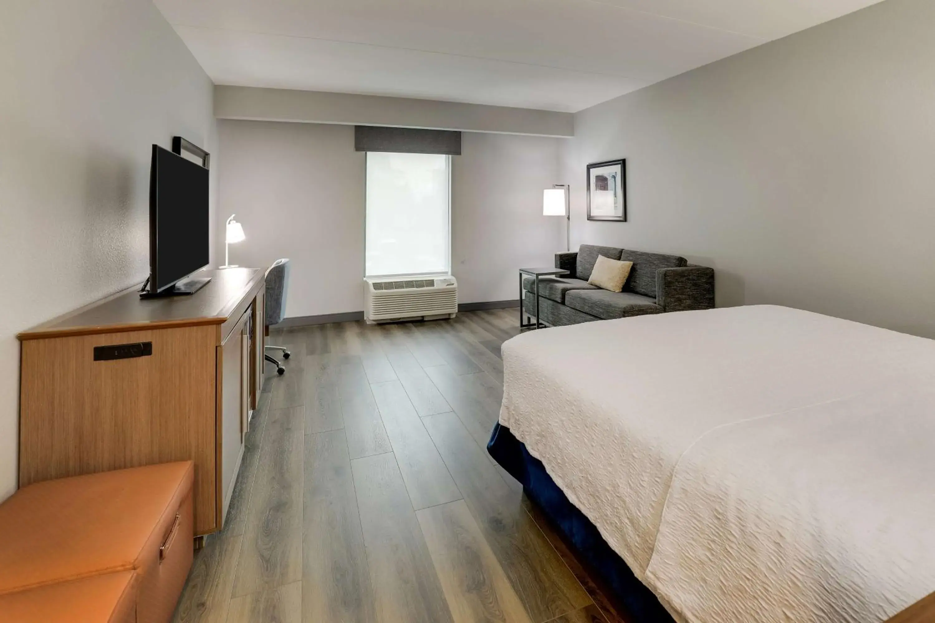 King Room with Sofa Bed - Non-Smoking in Hampton Inn and Suites Rome, GA King Room with Sofa Bed - Non-Smoking in Hampton Inn and Suites Rome, GA