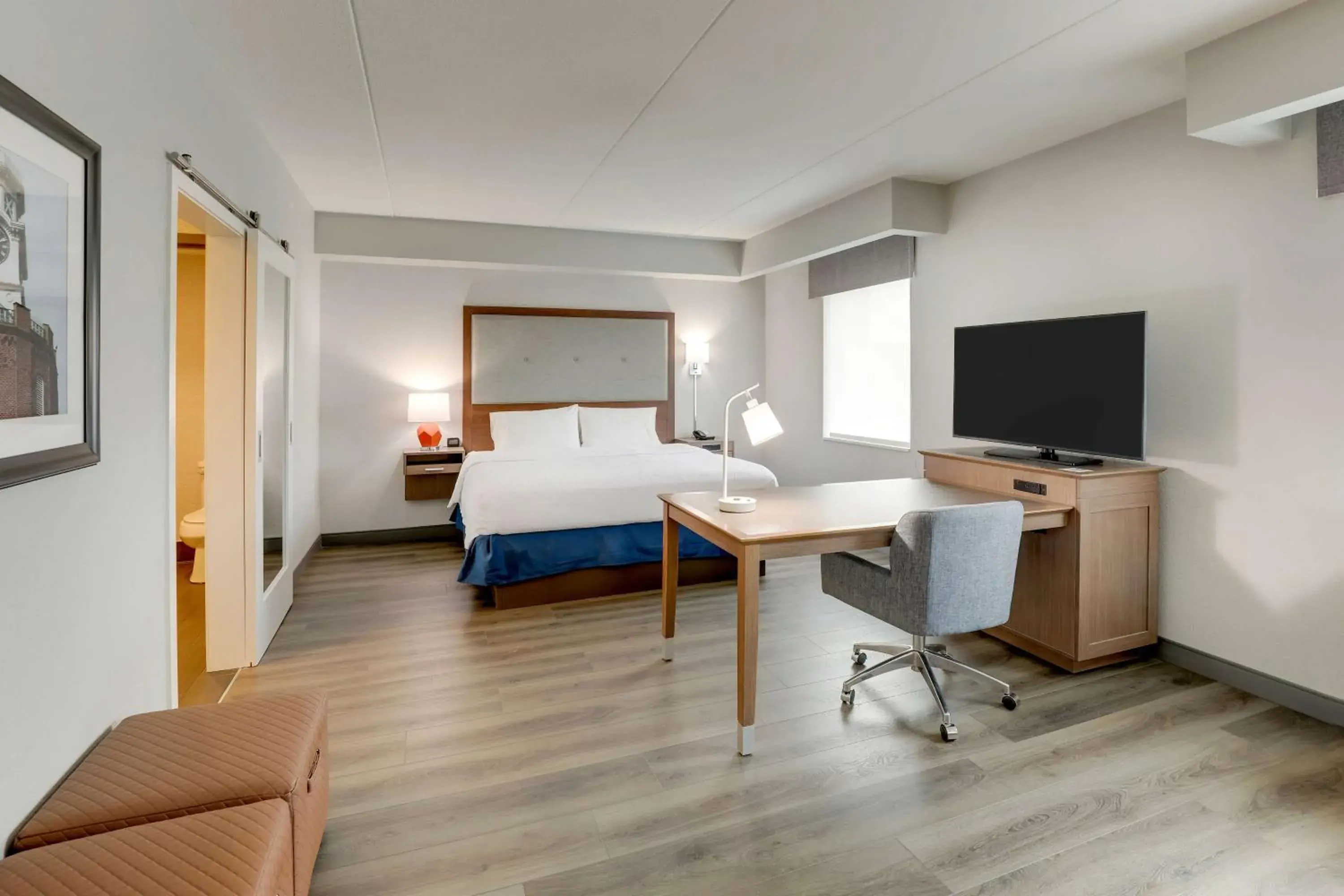 King Studio Suite - Non Smoking in Hampton Inn and Suites Rome, GA King Studio Suite - Non Smoking in Hampton Inn and Suites Rome, GA