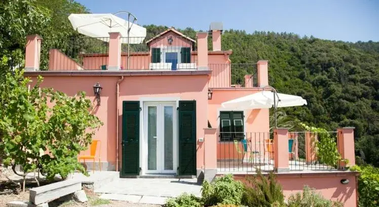 Il Nettare Il Nettare