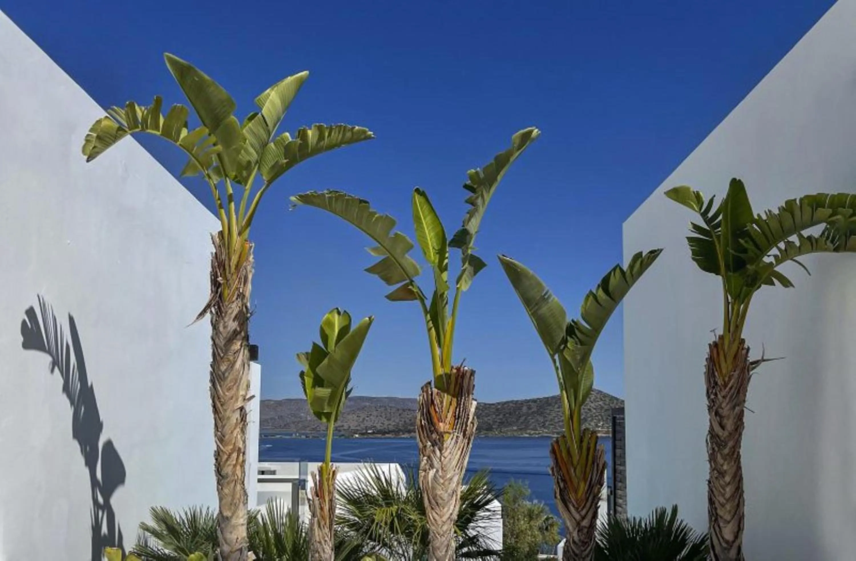 Garden in Aquila Elounda Village Resort, Suites & Spa