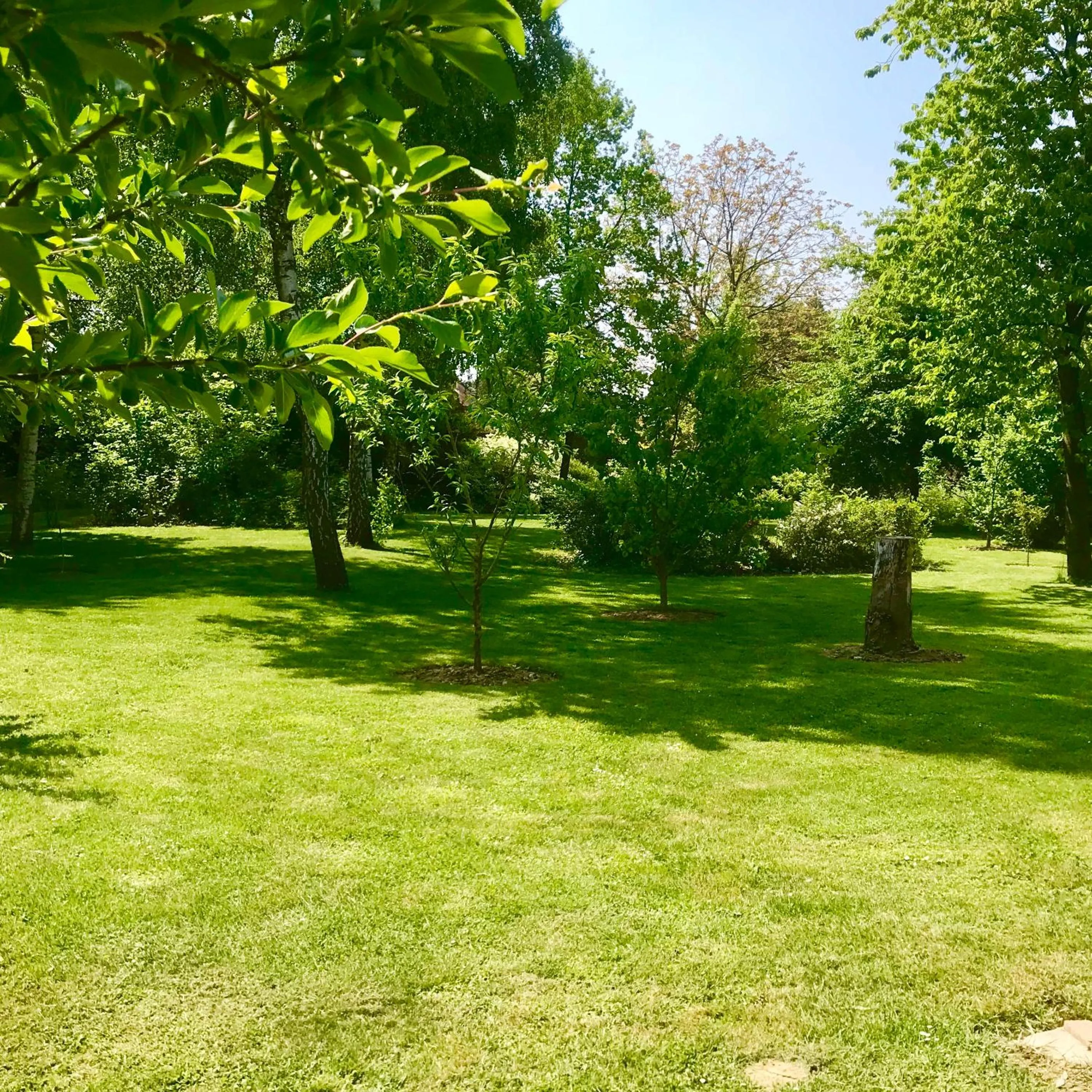 Garden in Les 3 Tilleuls