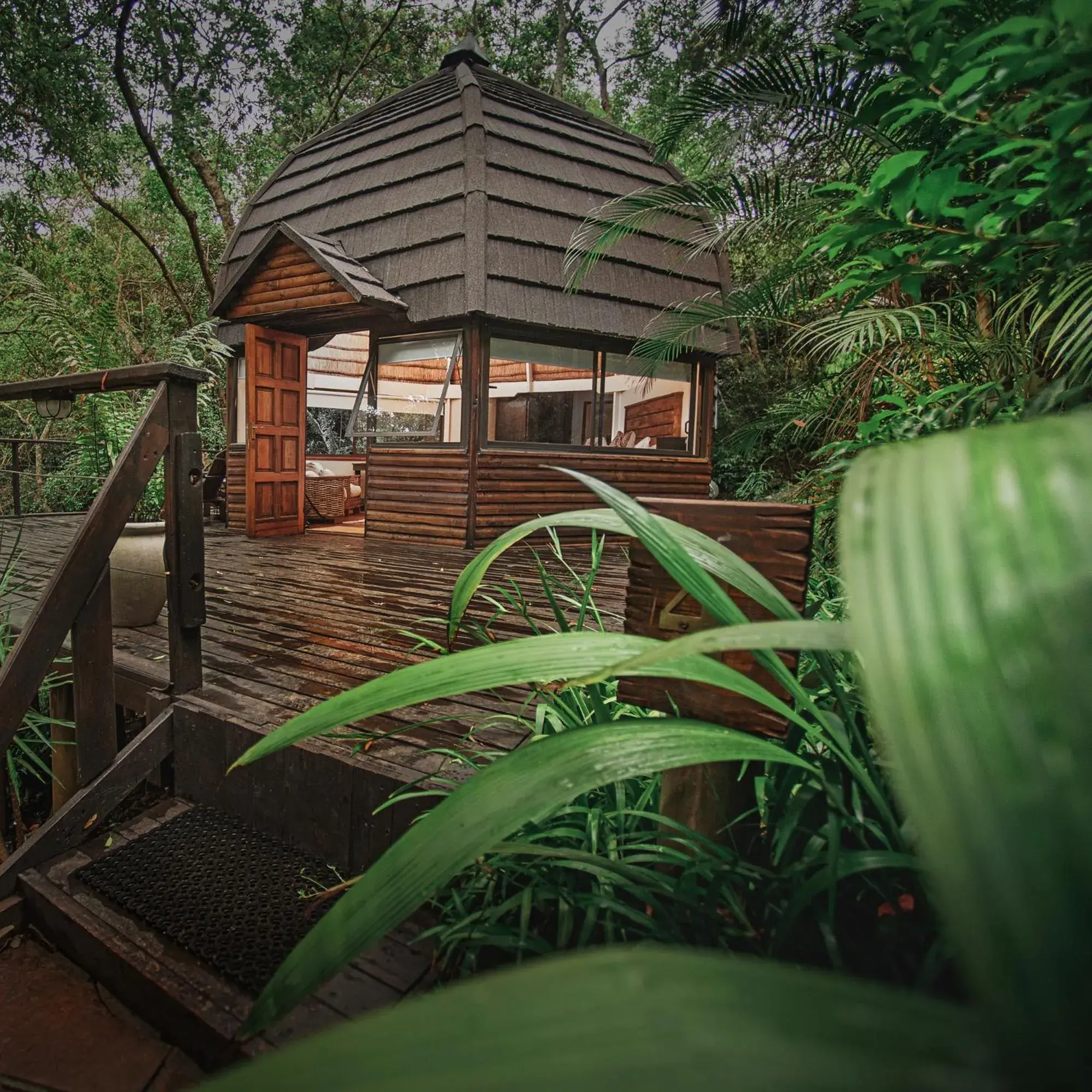Serenity Mountain and Forest Lodge Serenity Mountain and Forest Lodge