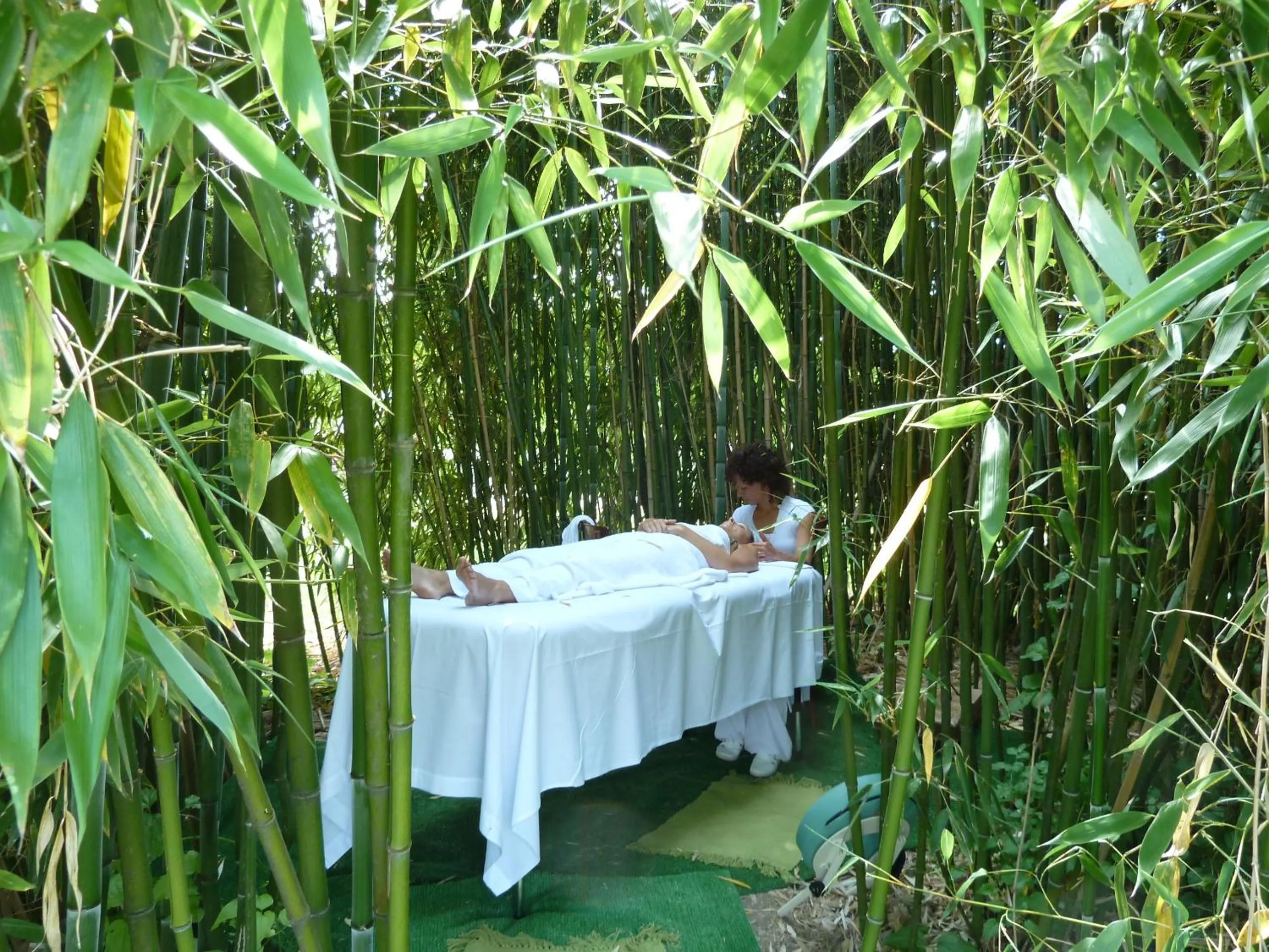 Massage in Villa Campestri Olive Oil Resort