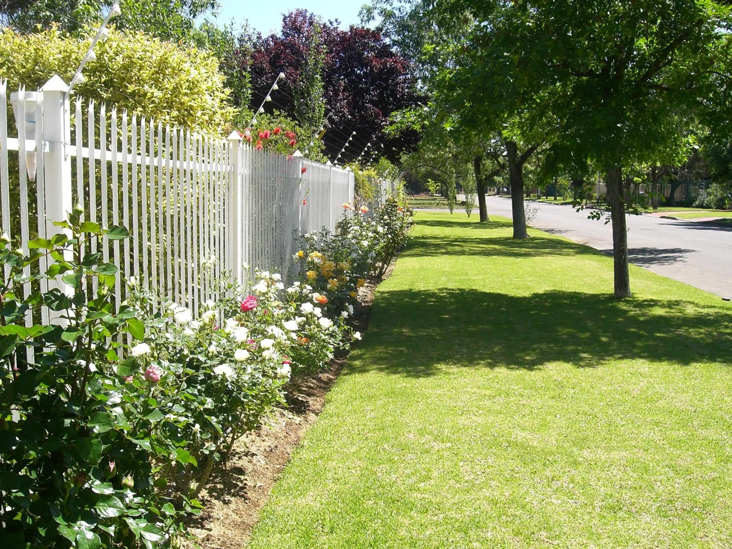 Street view in Bayswater Lodge