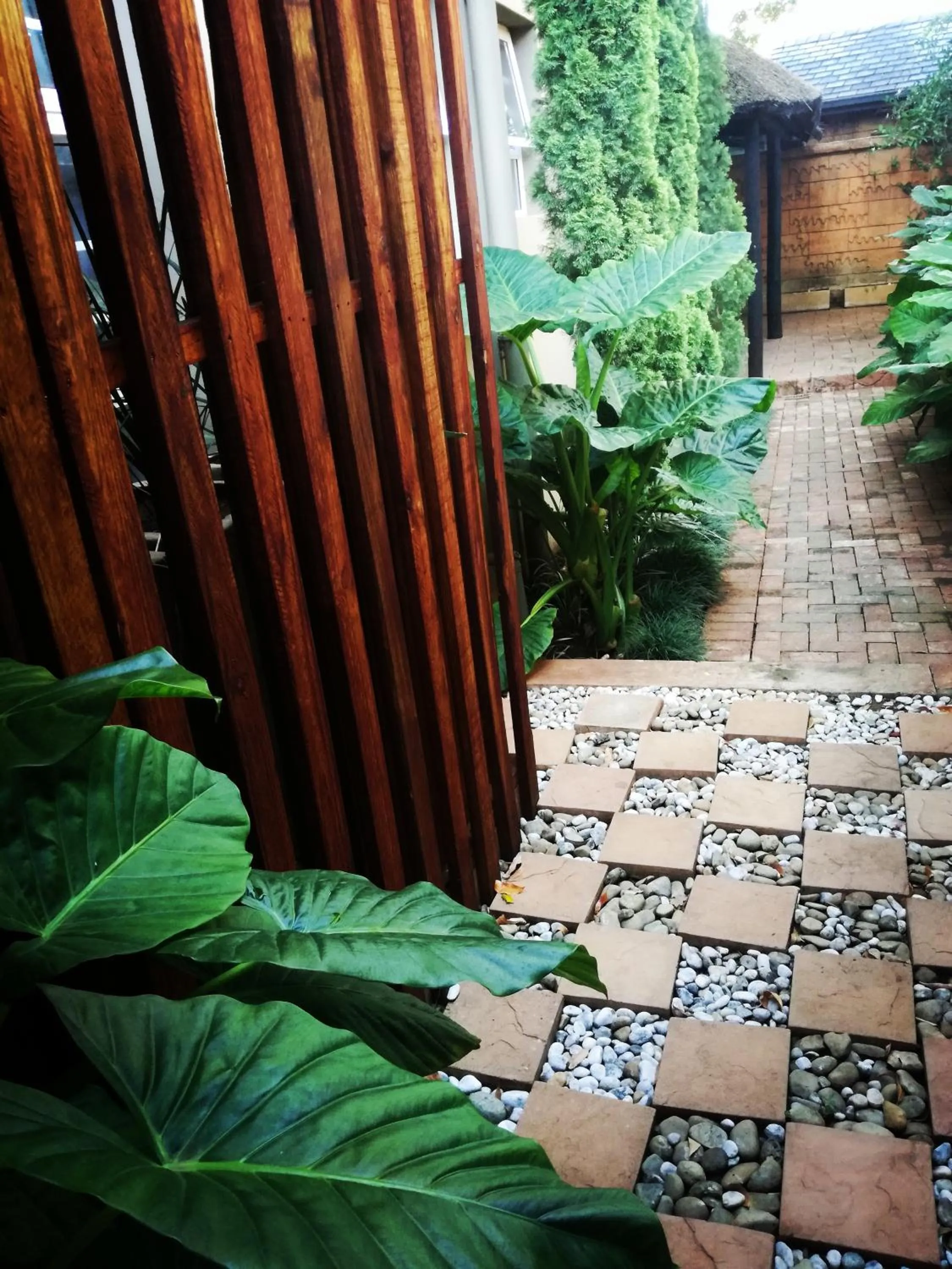 Garden in Bayswater Lodge