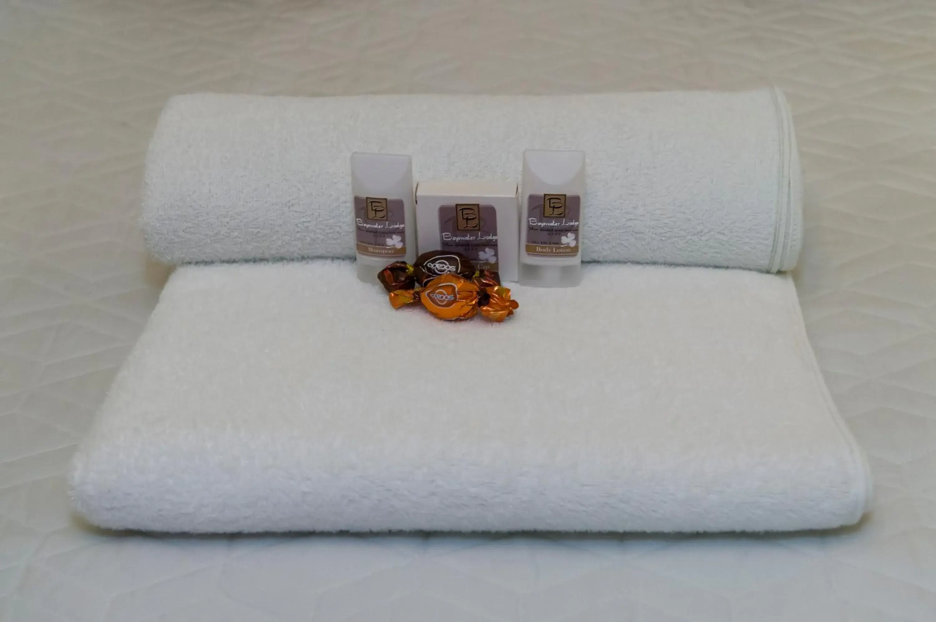 Twin Room with Garden Access - Room 9 in Bayswater Lodge Twin Room with Garden Access - Room 9 in Bayswater Lodge