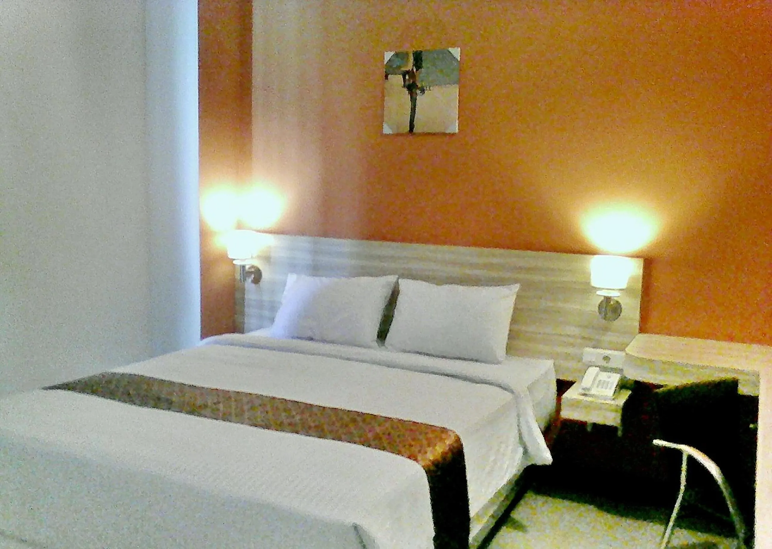 Photo of the whole room in Frank's Hotel