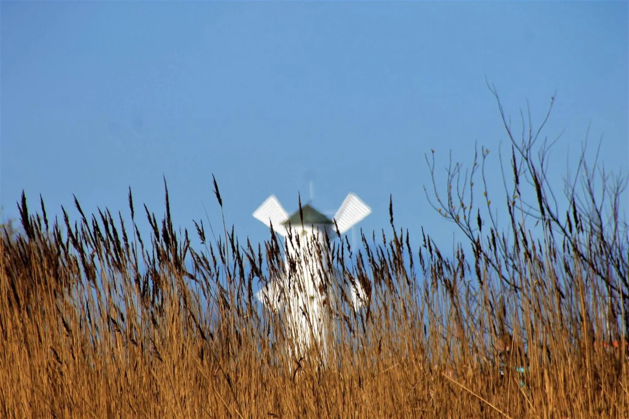 Nearby landmark in Hotel Cis