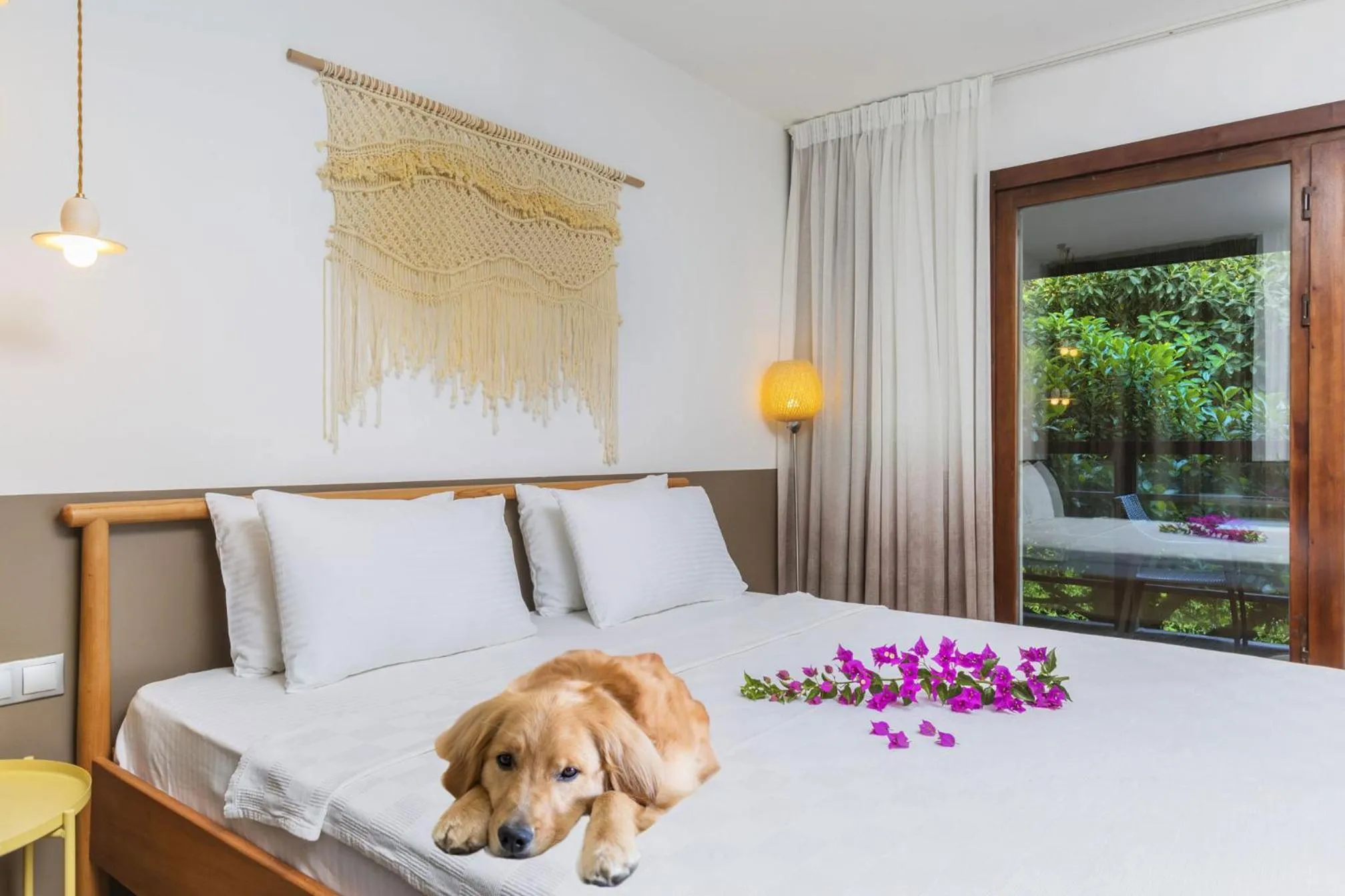 Pets, Bed in Faros Bodrum Hotel - Special Category
