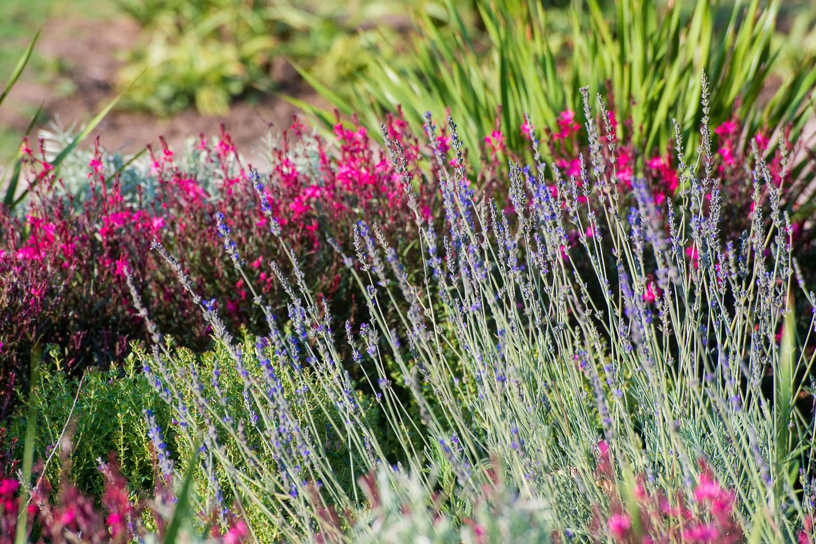Spring in Brahman Hills - Gardens, Spa, Hotel & Villas - 5star