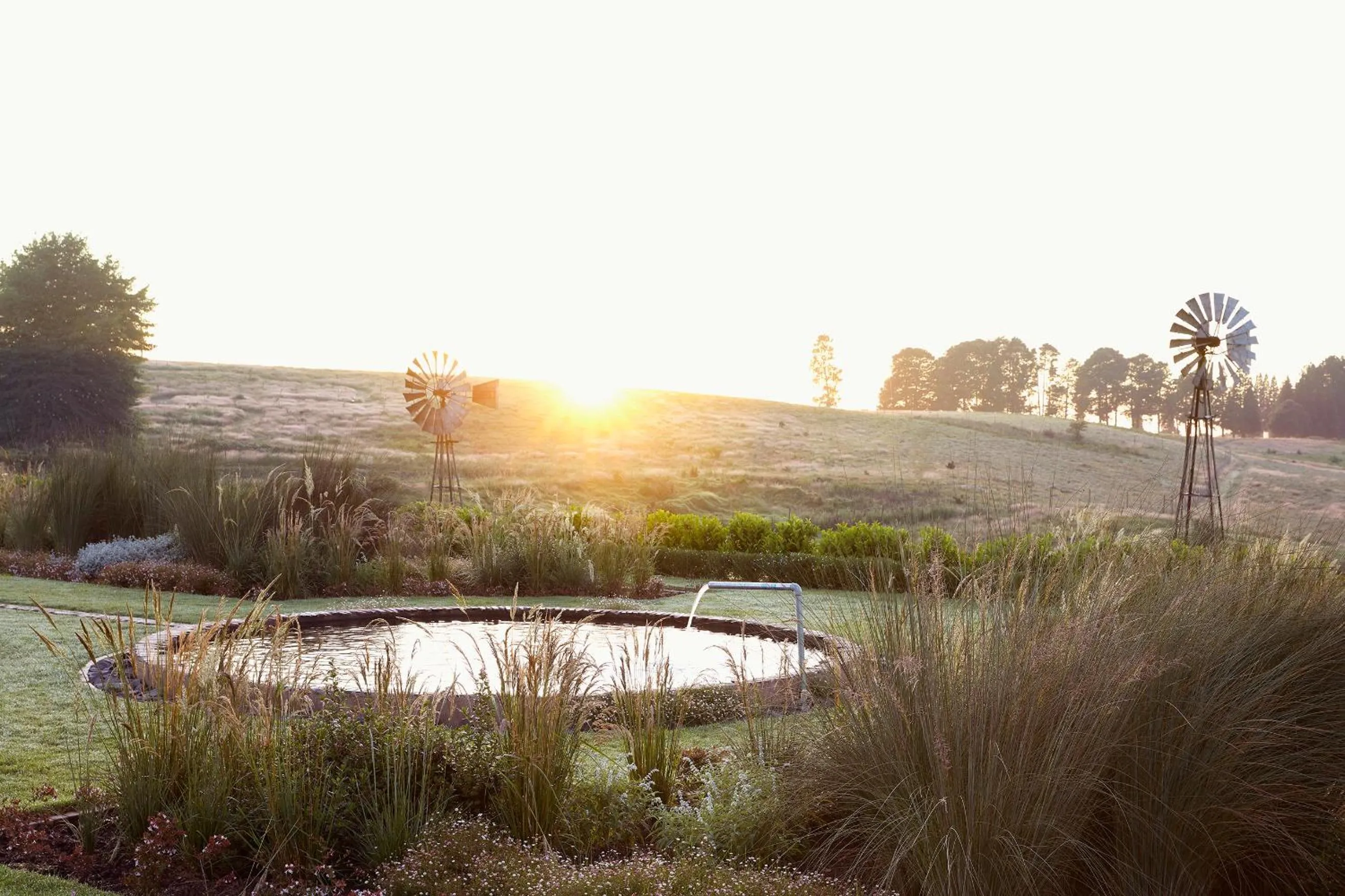 Garden in Brahman Hills - Gardens, Spa, Hotel & Villas - 5star