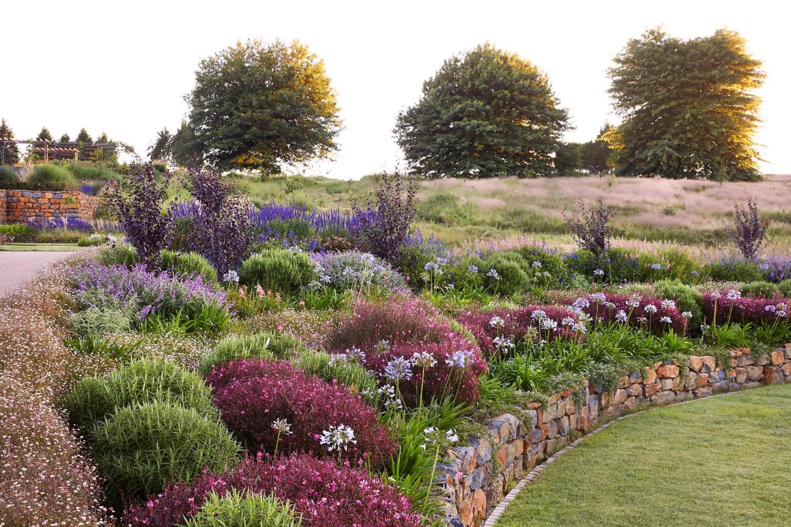 Garden in Brahman Hills - Gardens, Spa, Hotel & Villas - 5star