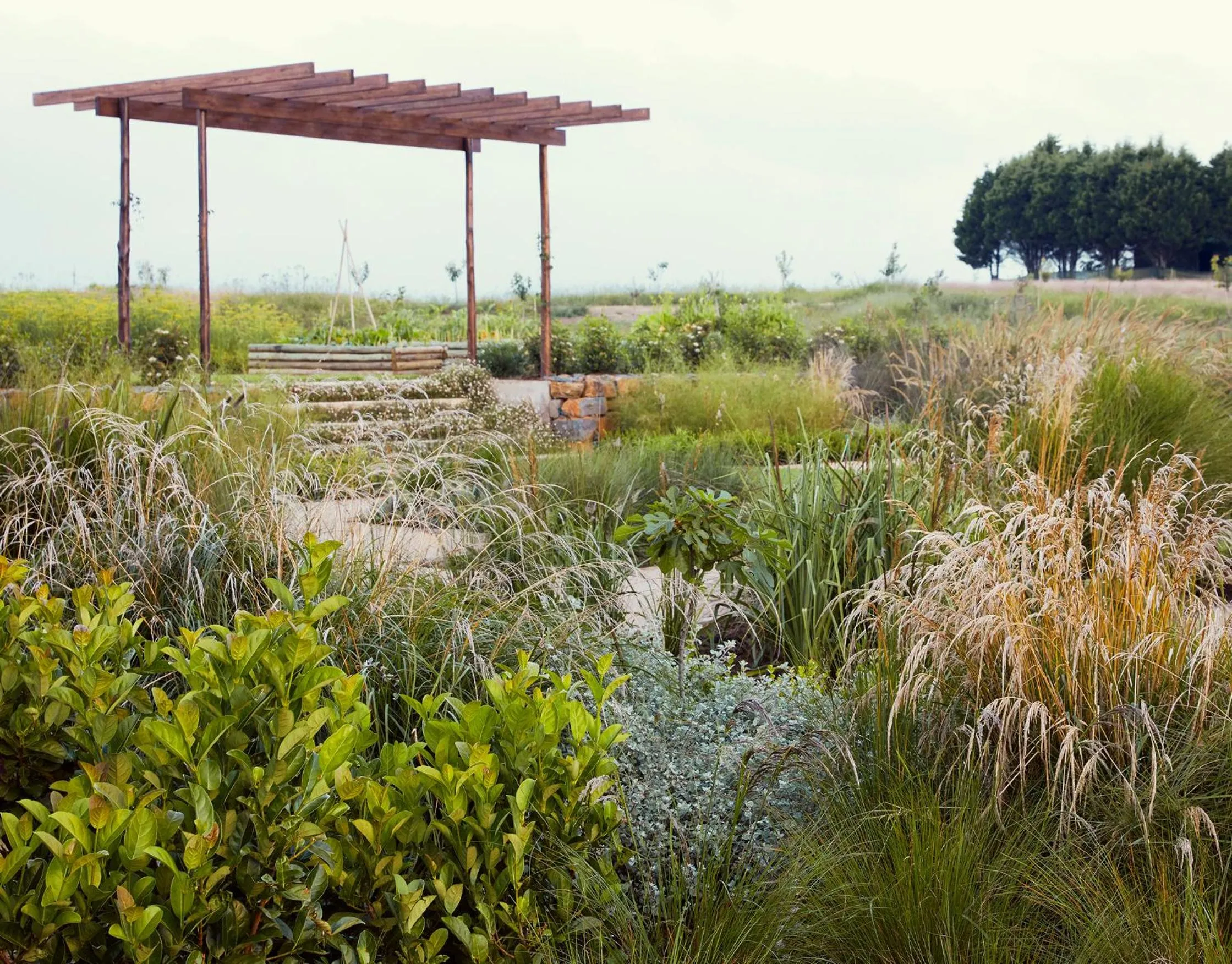 Garden in Brahman Hills - Gardens, Spa, Hotel & Villas - 5star