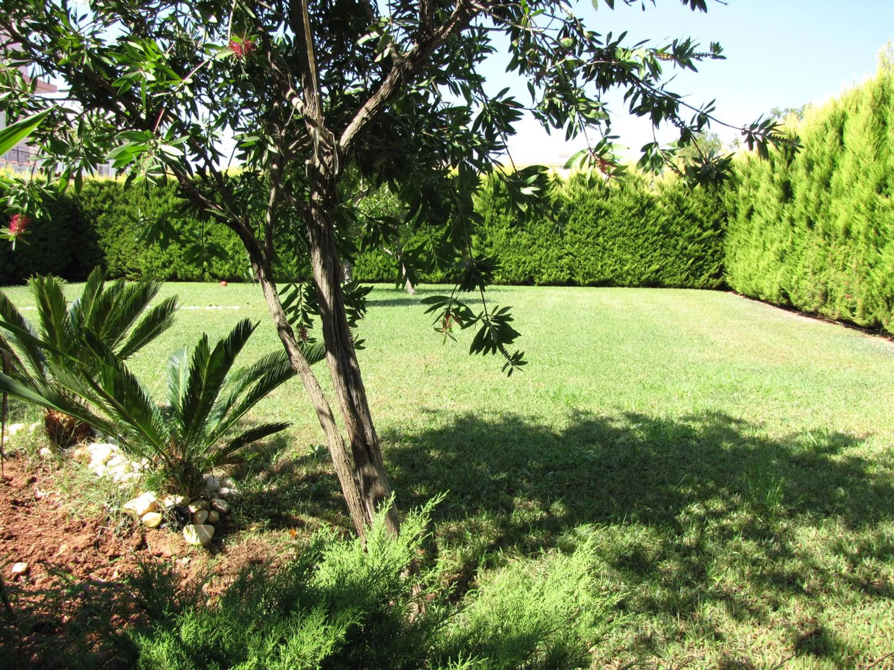 Karystos Mare Apartments