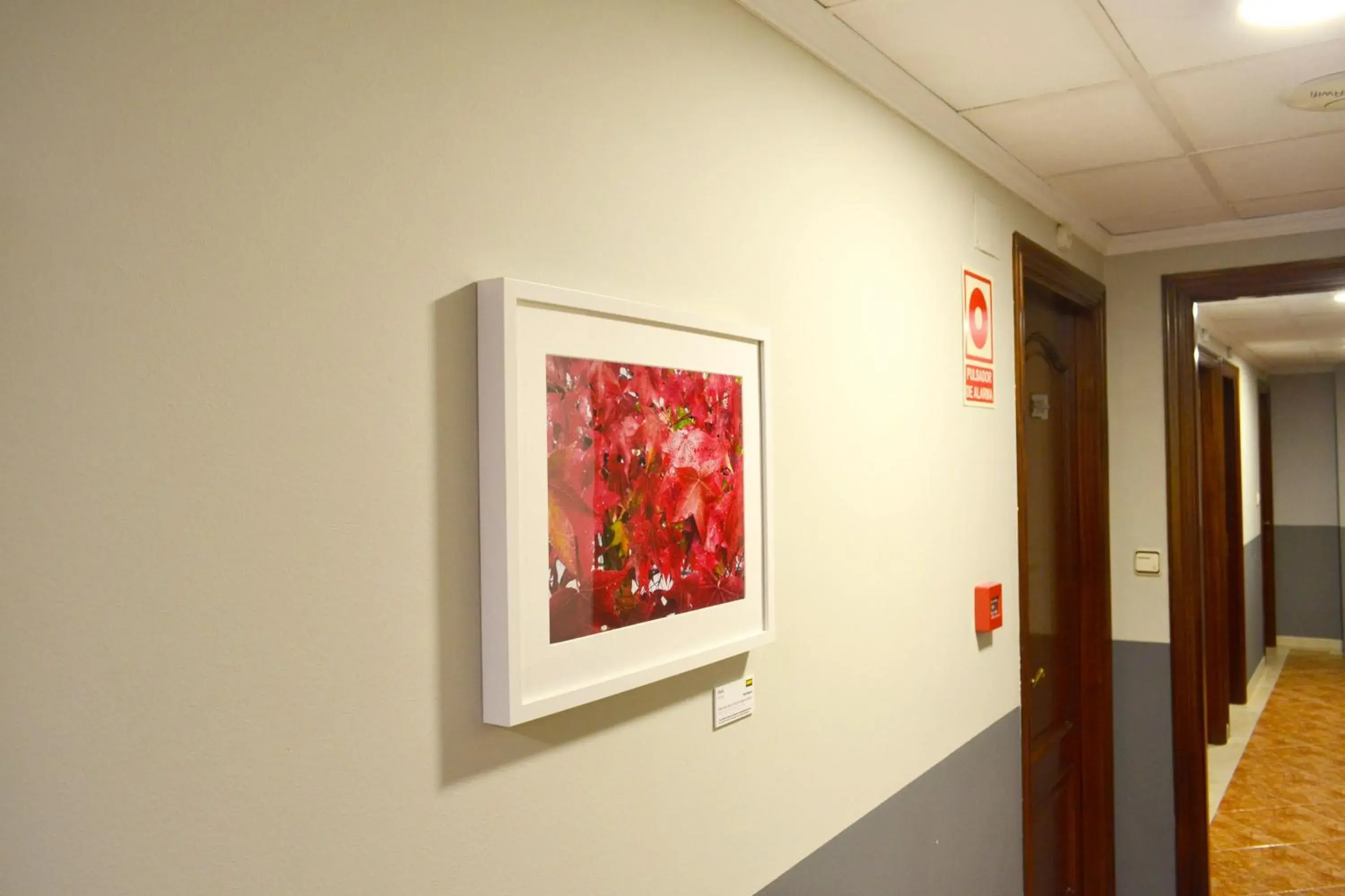 Decorative detail in Alda Puerta Coruña Decorative detail in Alda Puerta Coruña