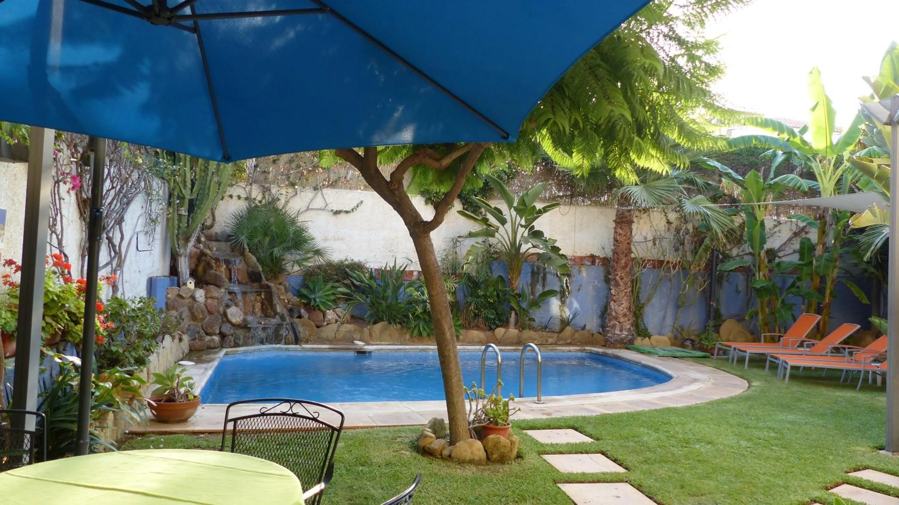 Garden in Hotel Tikar