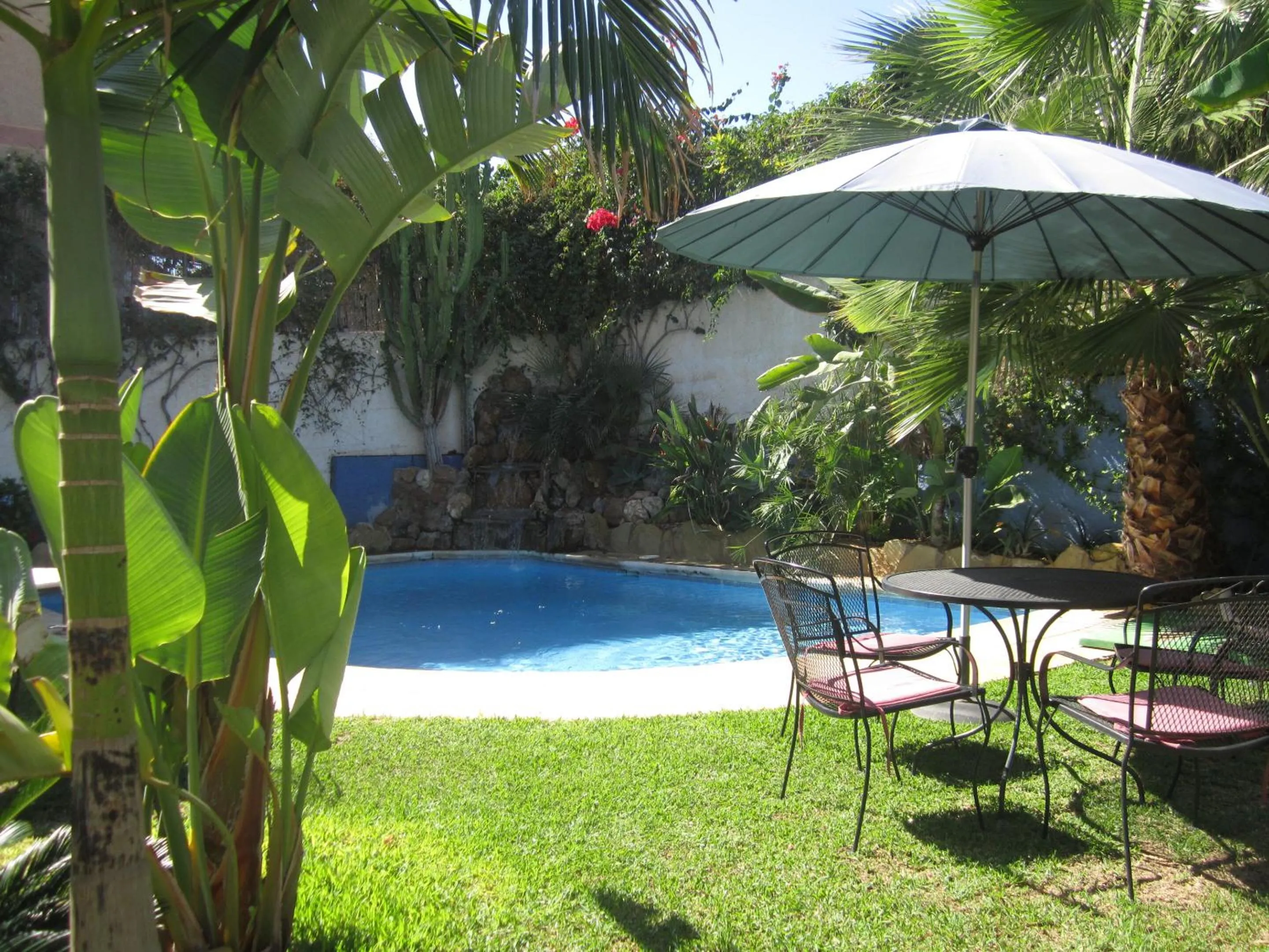 Garden in Hotel Tikar