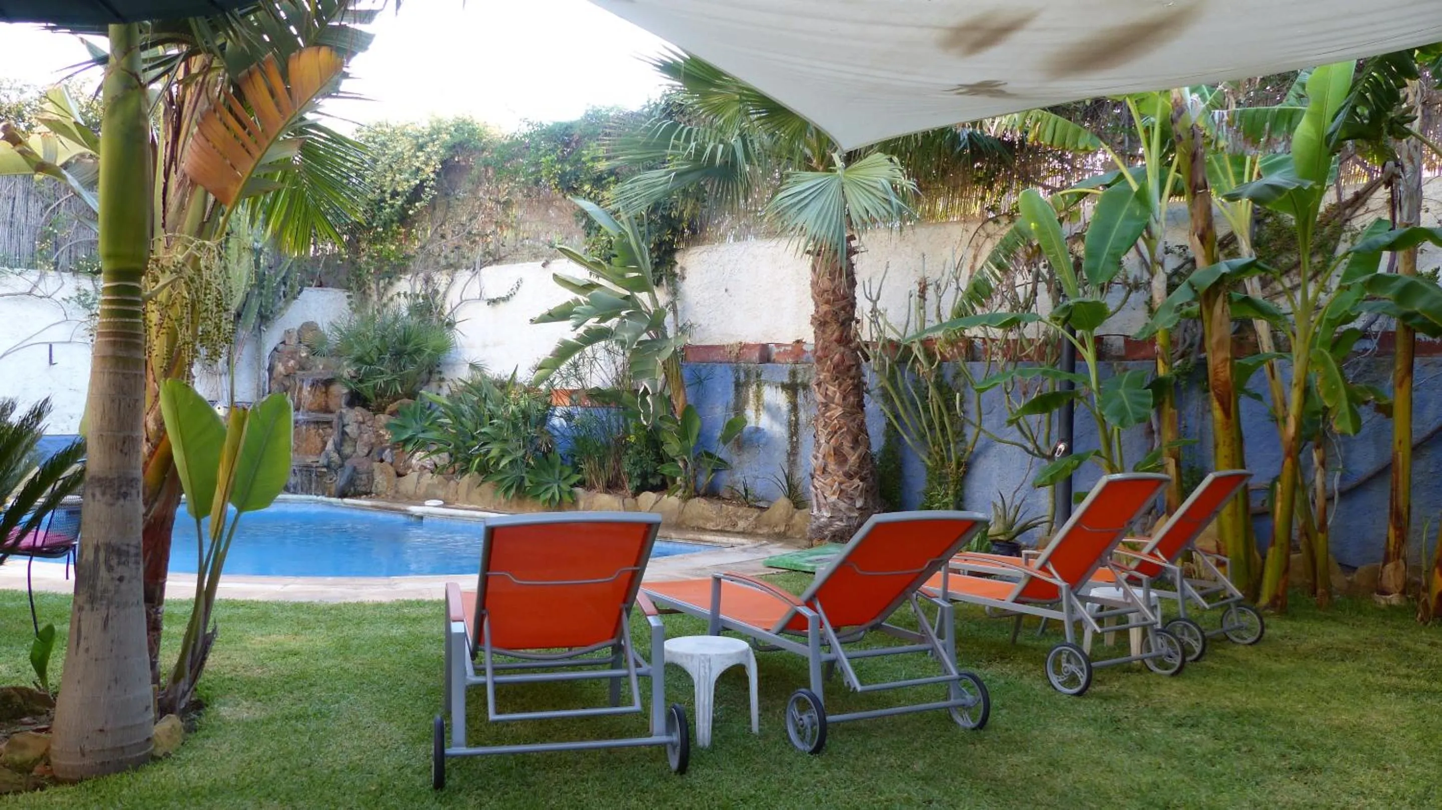 Garden in Hotel Tikar