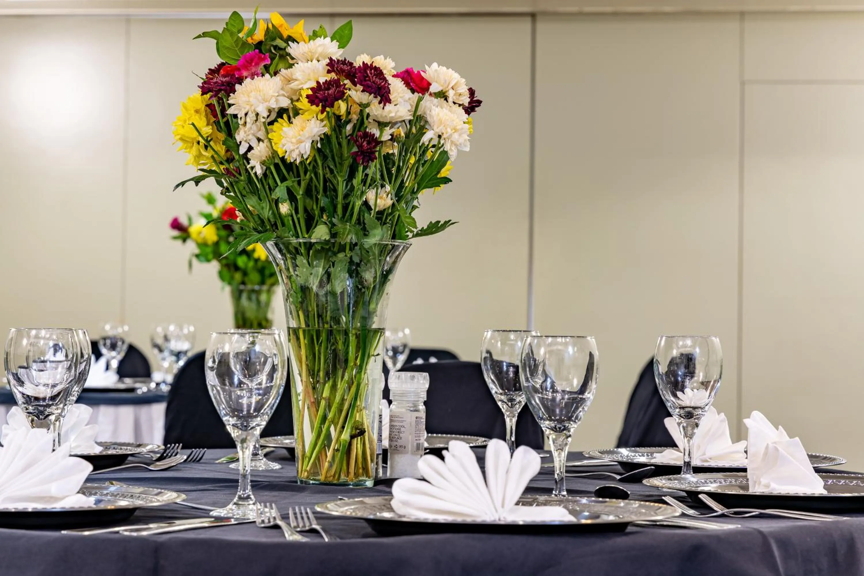 Banquet/Function facilities in African Sky Harrismith Inn