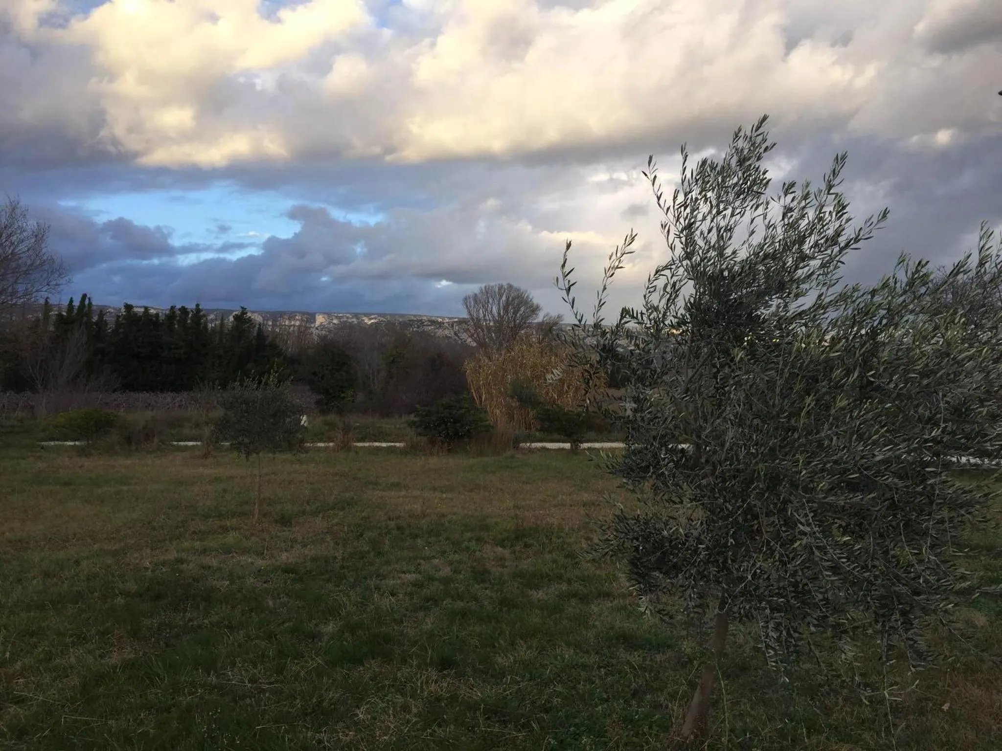 View (from property/room) in Auberge Les Olivades