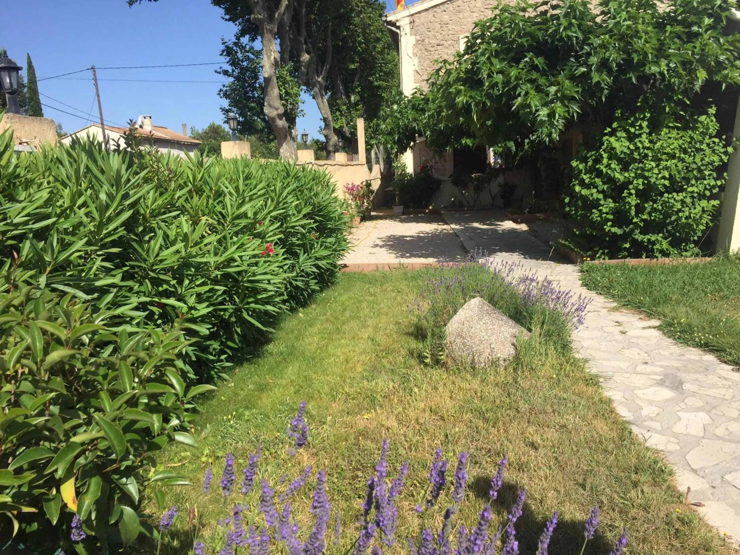 Garden in Auberge Les Olivades