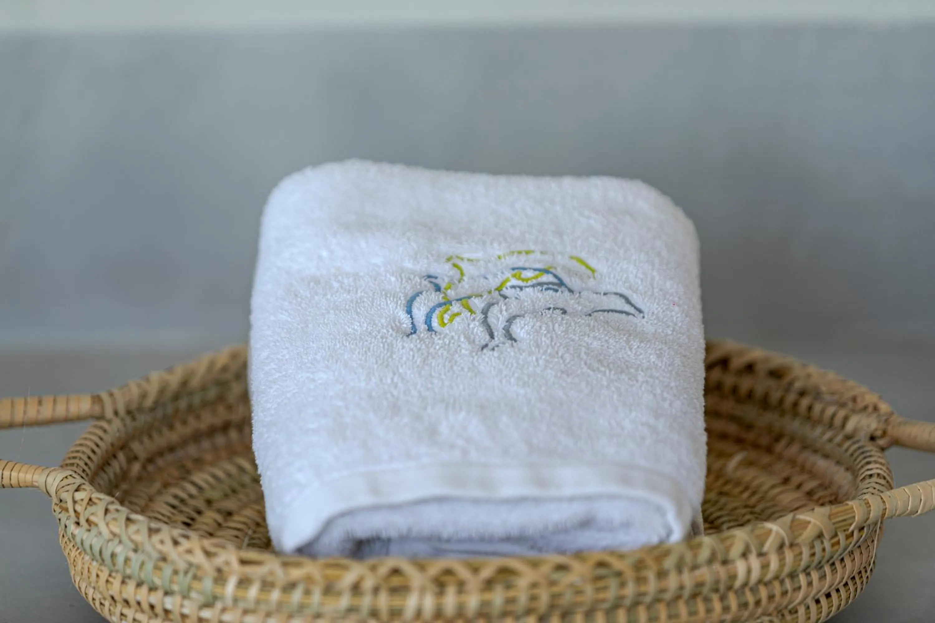 towels in Grand View - Megalochori Santorini