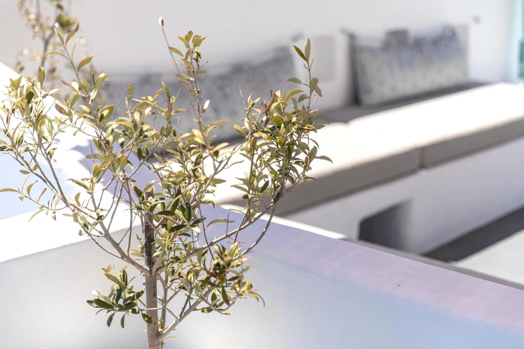Balcony/Terrace in Grand View - Megalochori Santorini