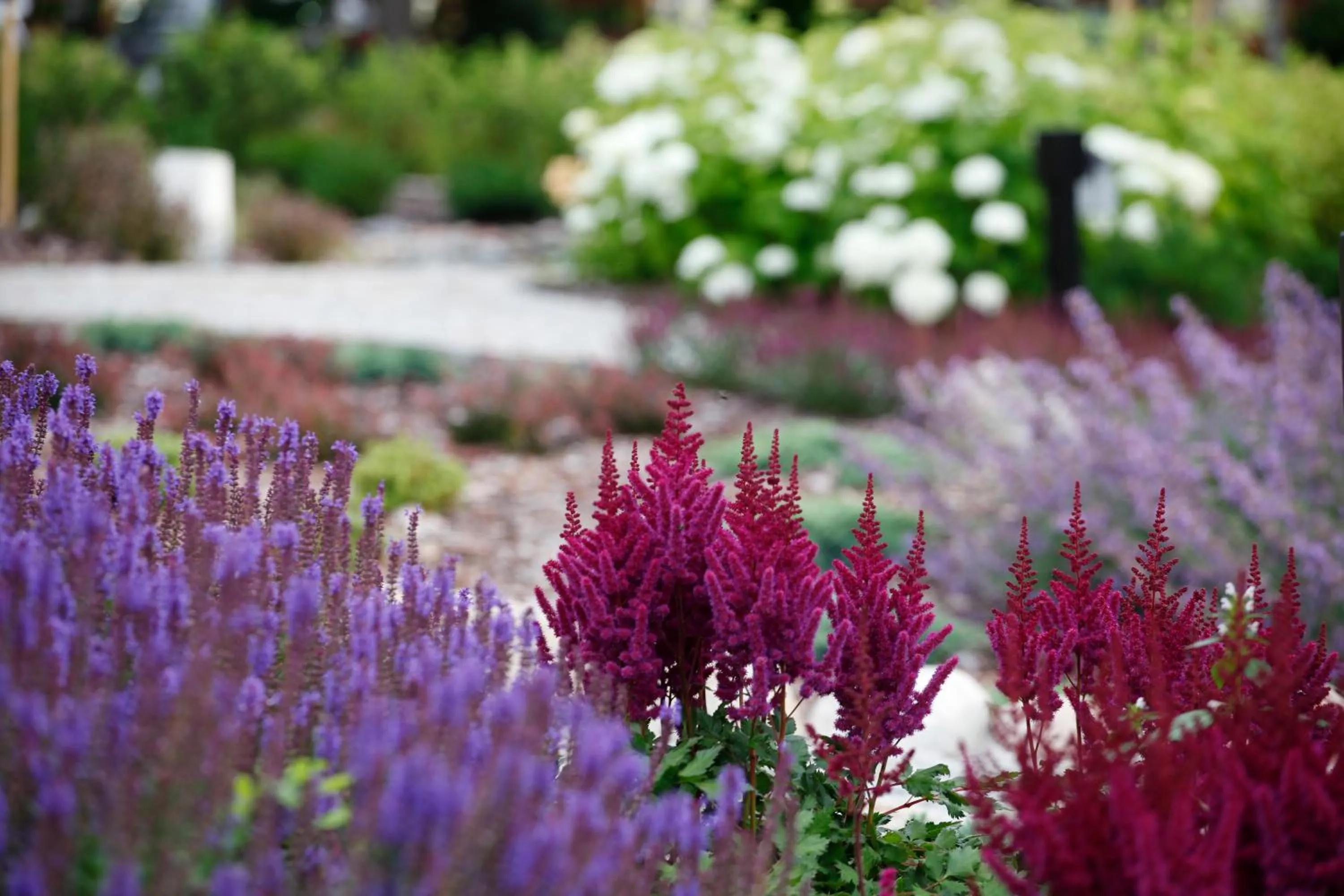 Summer in Estancja Mezowo