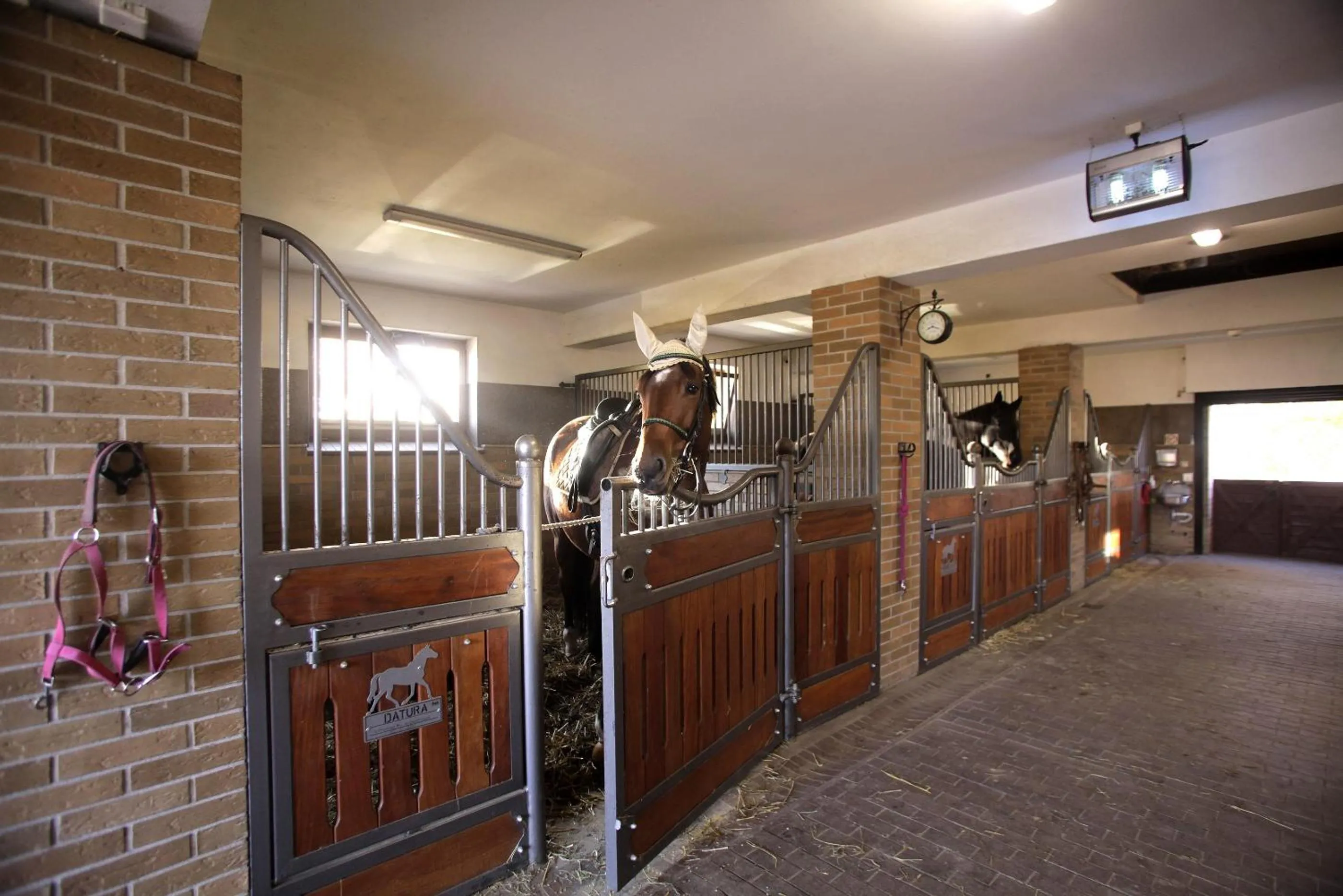 Property building in Estancja Mezowo