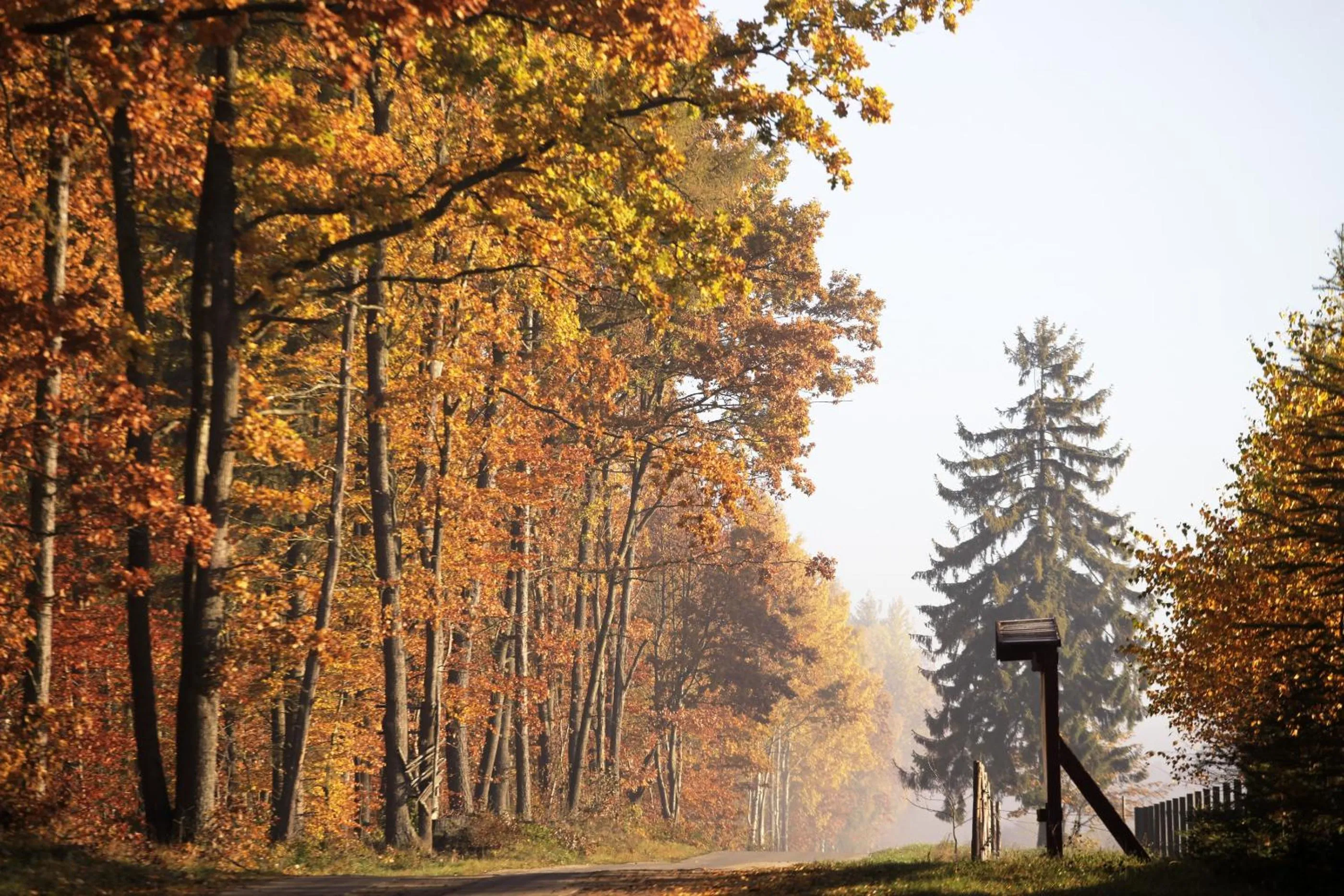 Neighbourhood in Estancja Mezowo