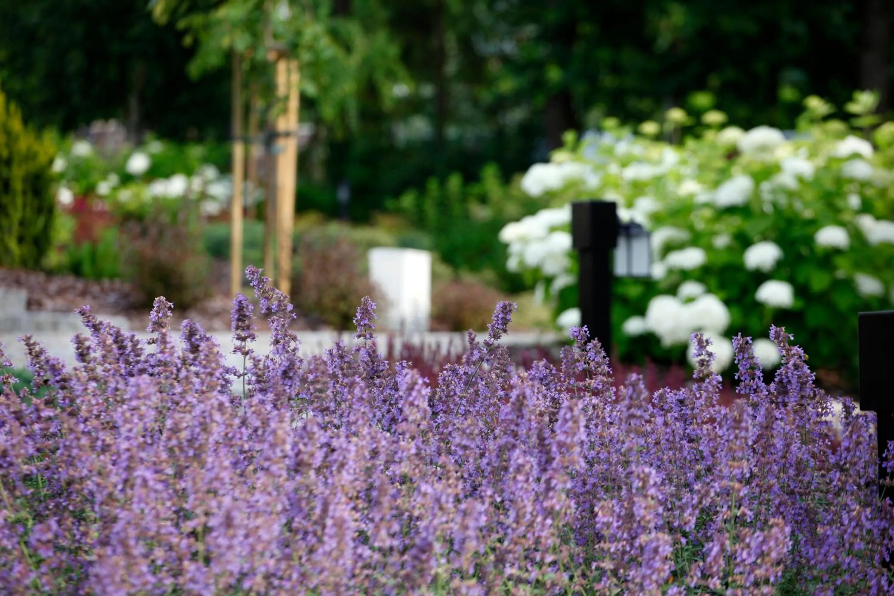 Summer in Estancja Mezowo