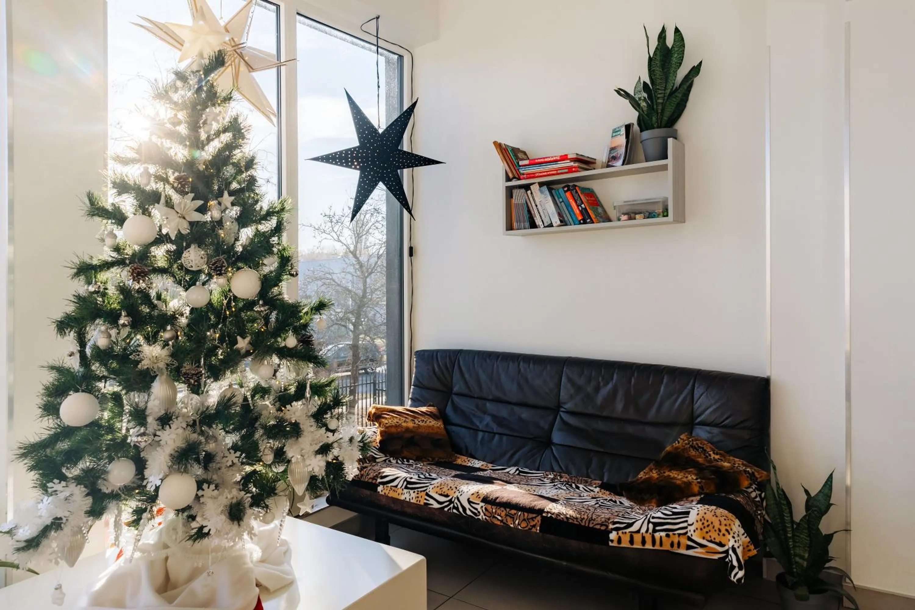 Communal lounge/ TV room in Arcus Premium Hostel