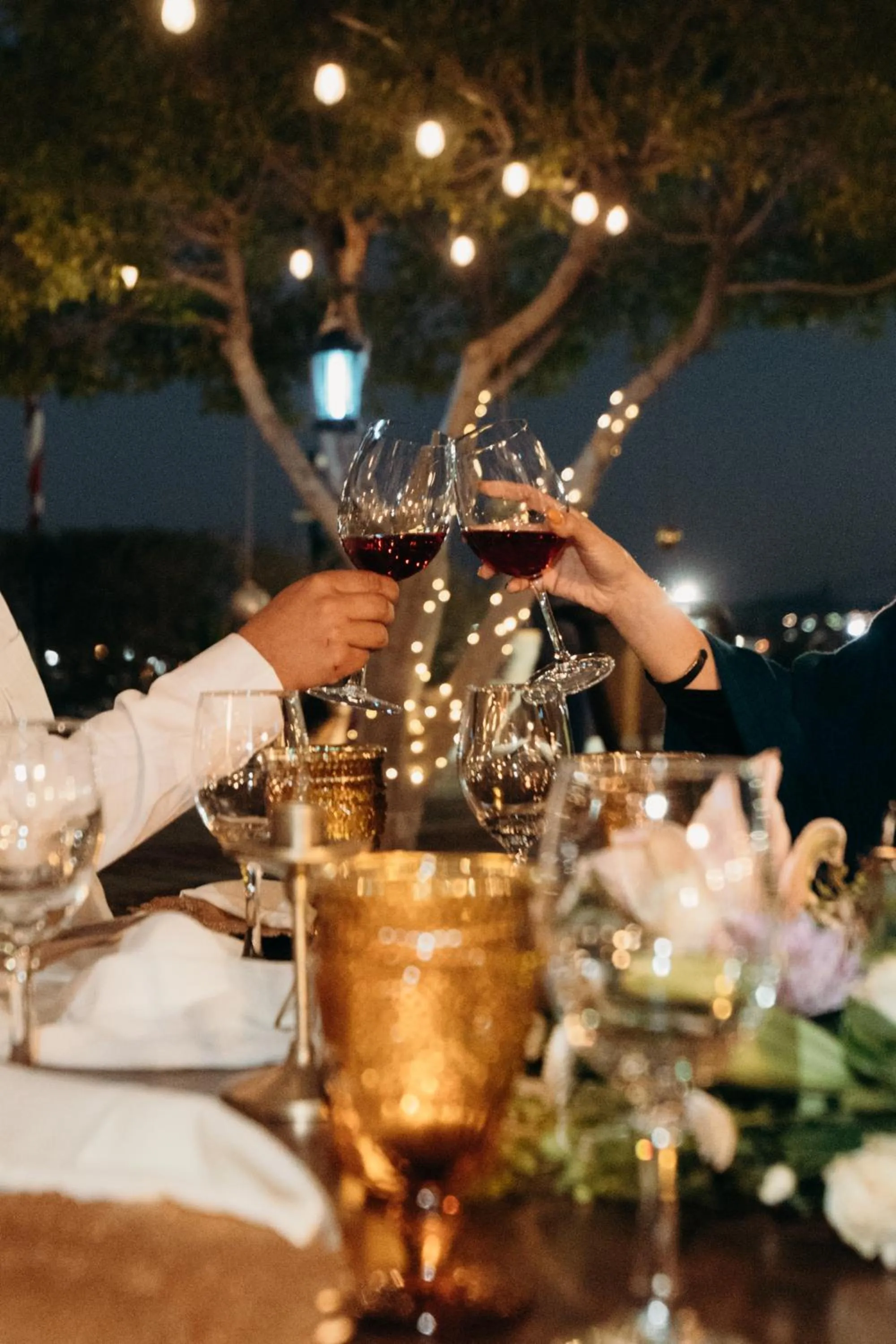 Dinner in Hotel Las Palmas