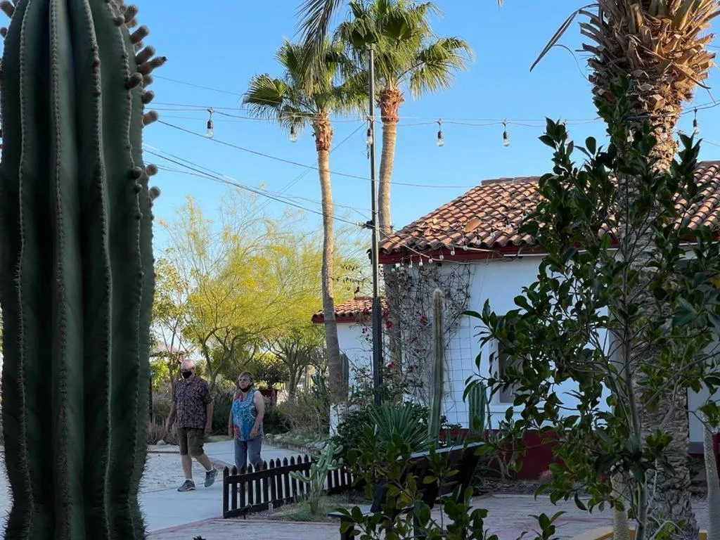 Patio in Hotel Las Palmas