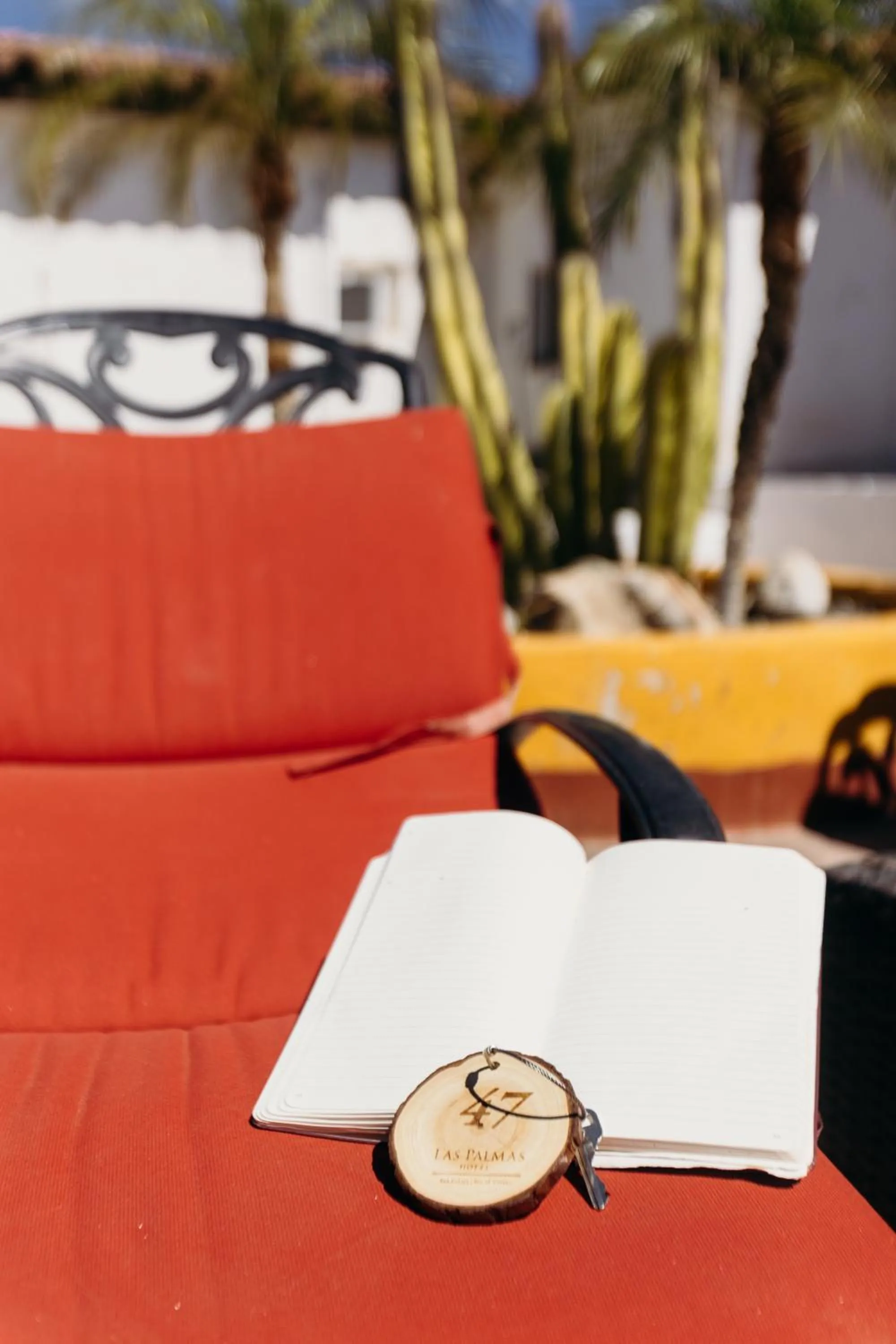 Patio in Hotel Las Palmas