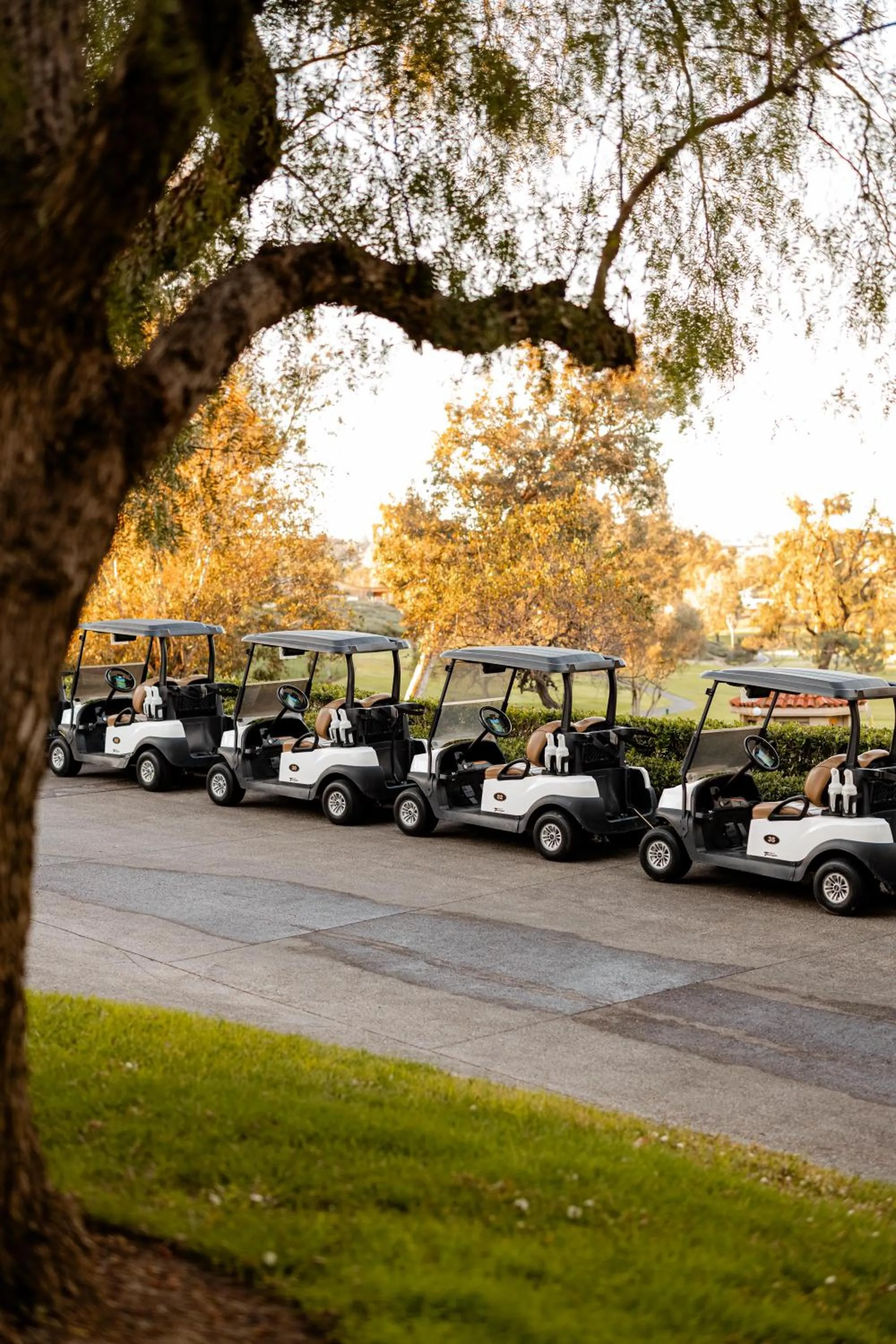 Golfcourse in Rancho Bernardo Inn