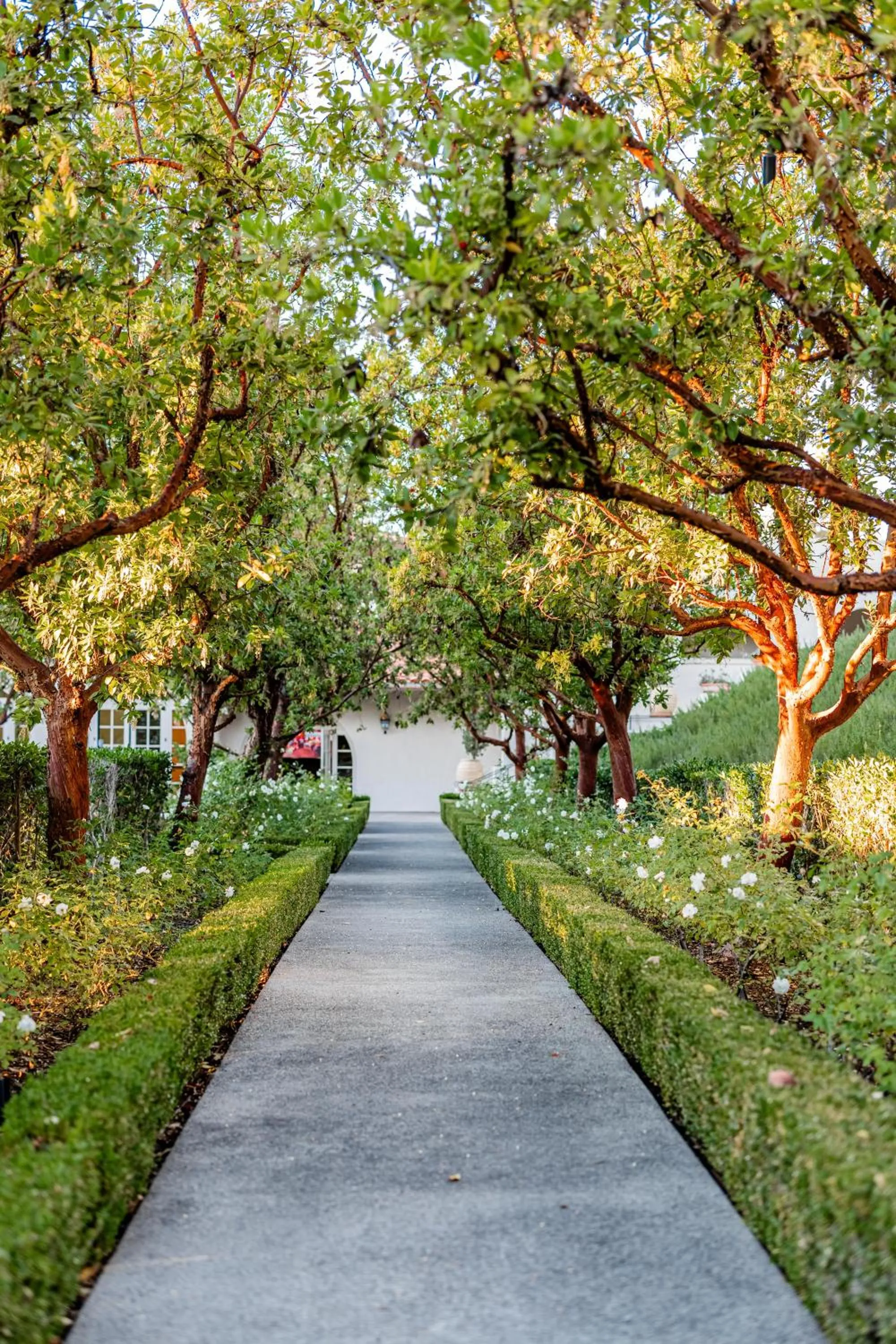 Garden in Rancho Bernardo Inn