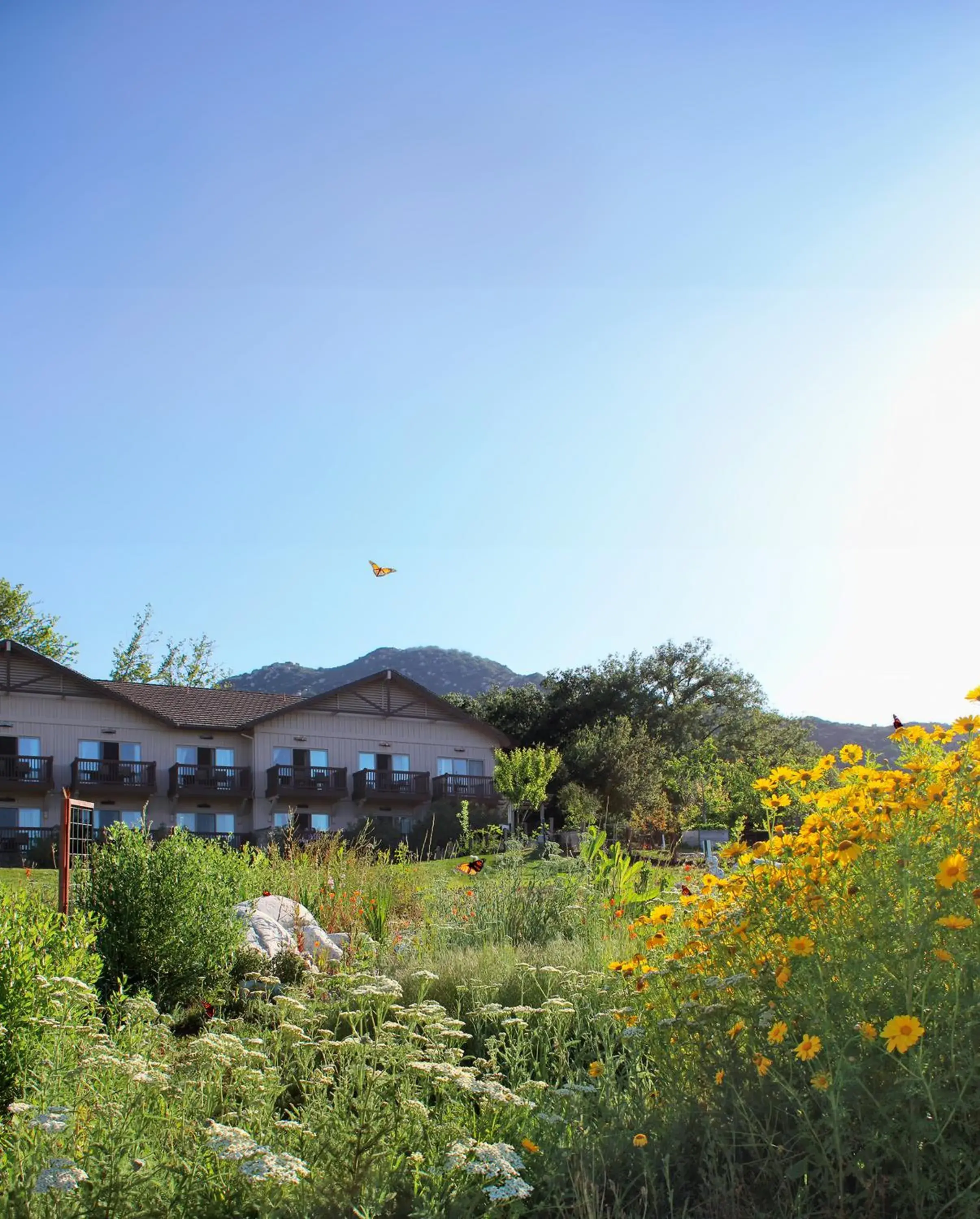 Property building in Temecula Creek Inn Property building in Temecula Creek Inn