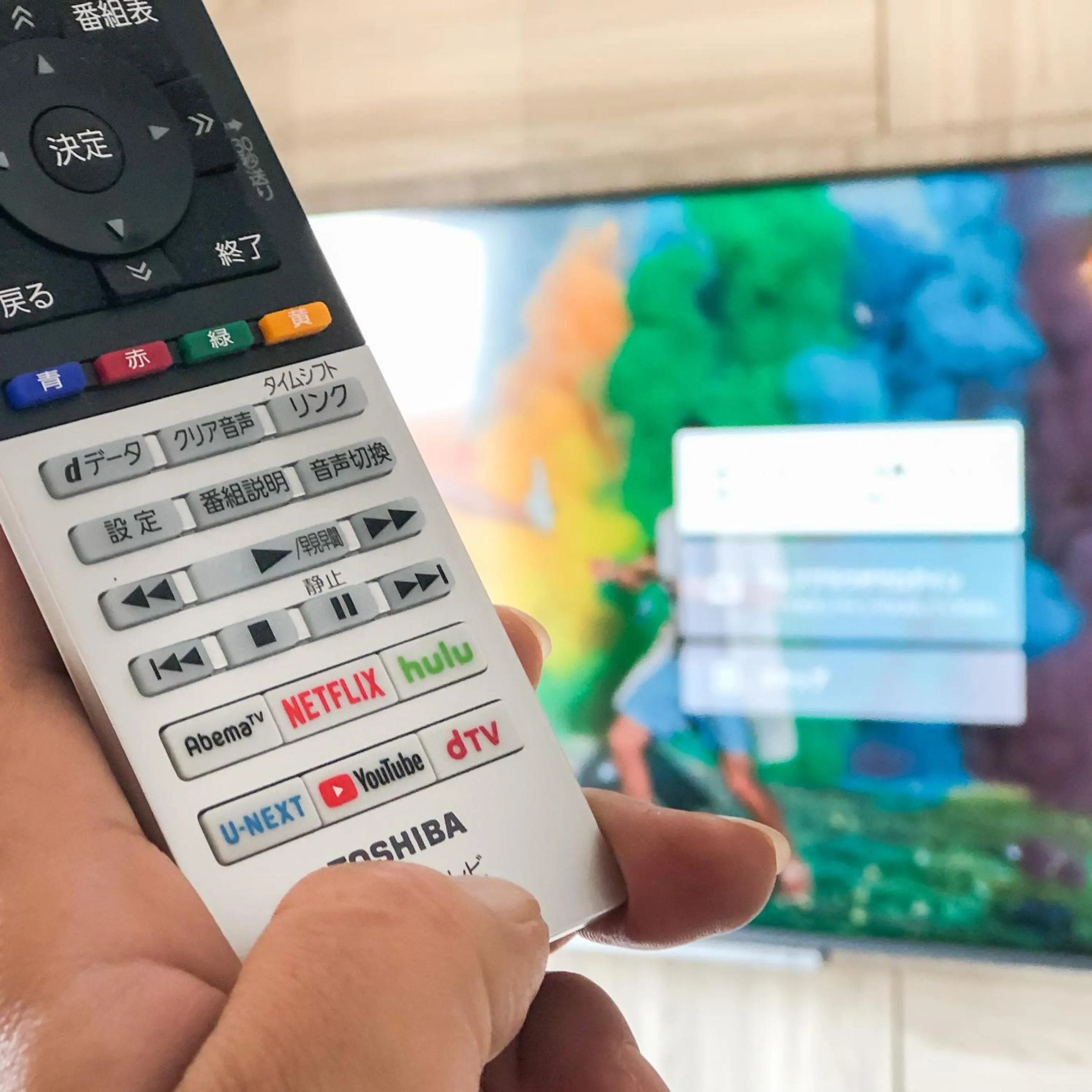 TV and multimedia in Super Hotel Gotemba 1