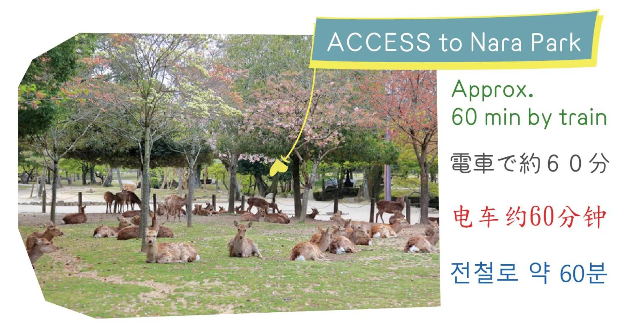 Nearby landmark in J-Hoppers Osaka Universal