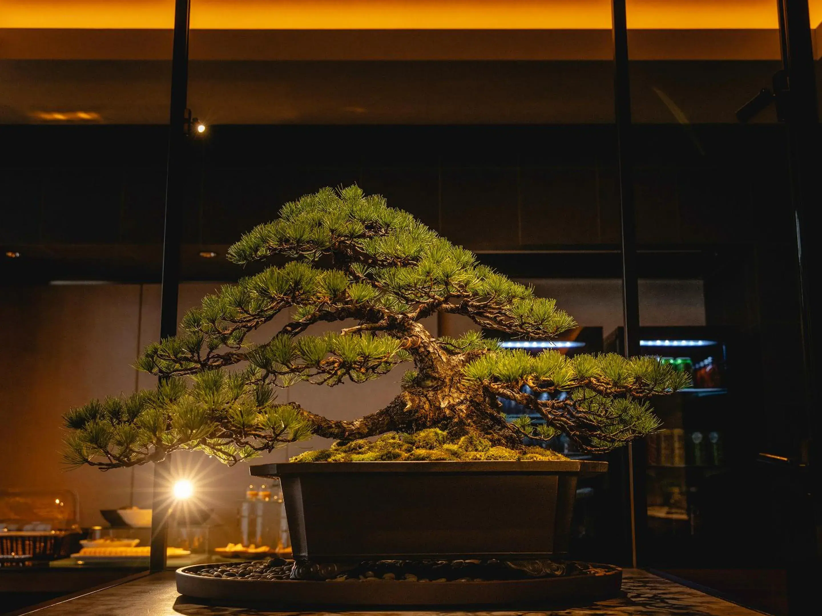 Lounge or bar in Hotel Gracery Kyoto Sanjo Lounge or bar in Hotel Gracery Kyoto Sanjo