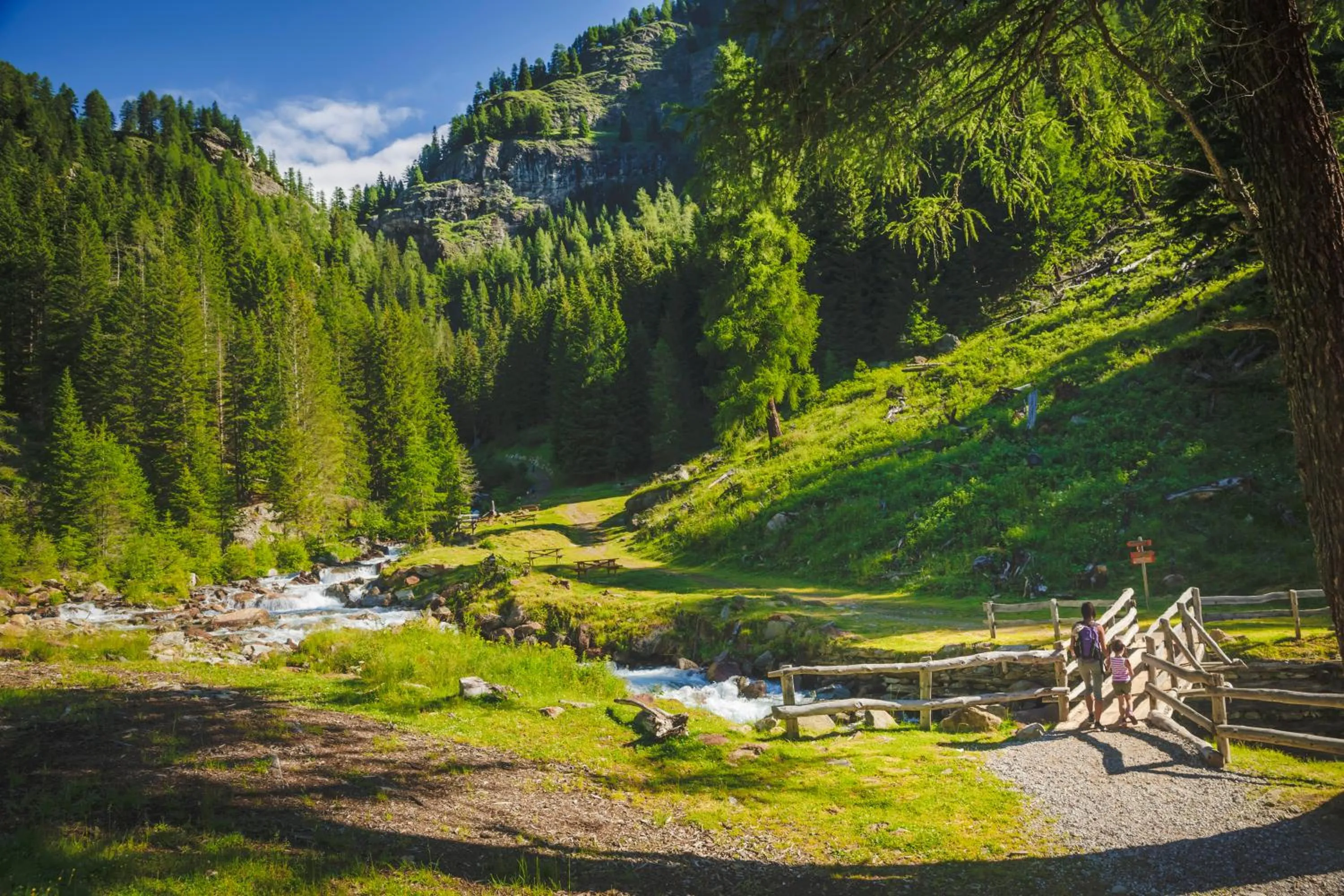 Natural landscape in Active Hotel Monte Giner