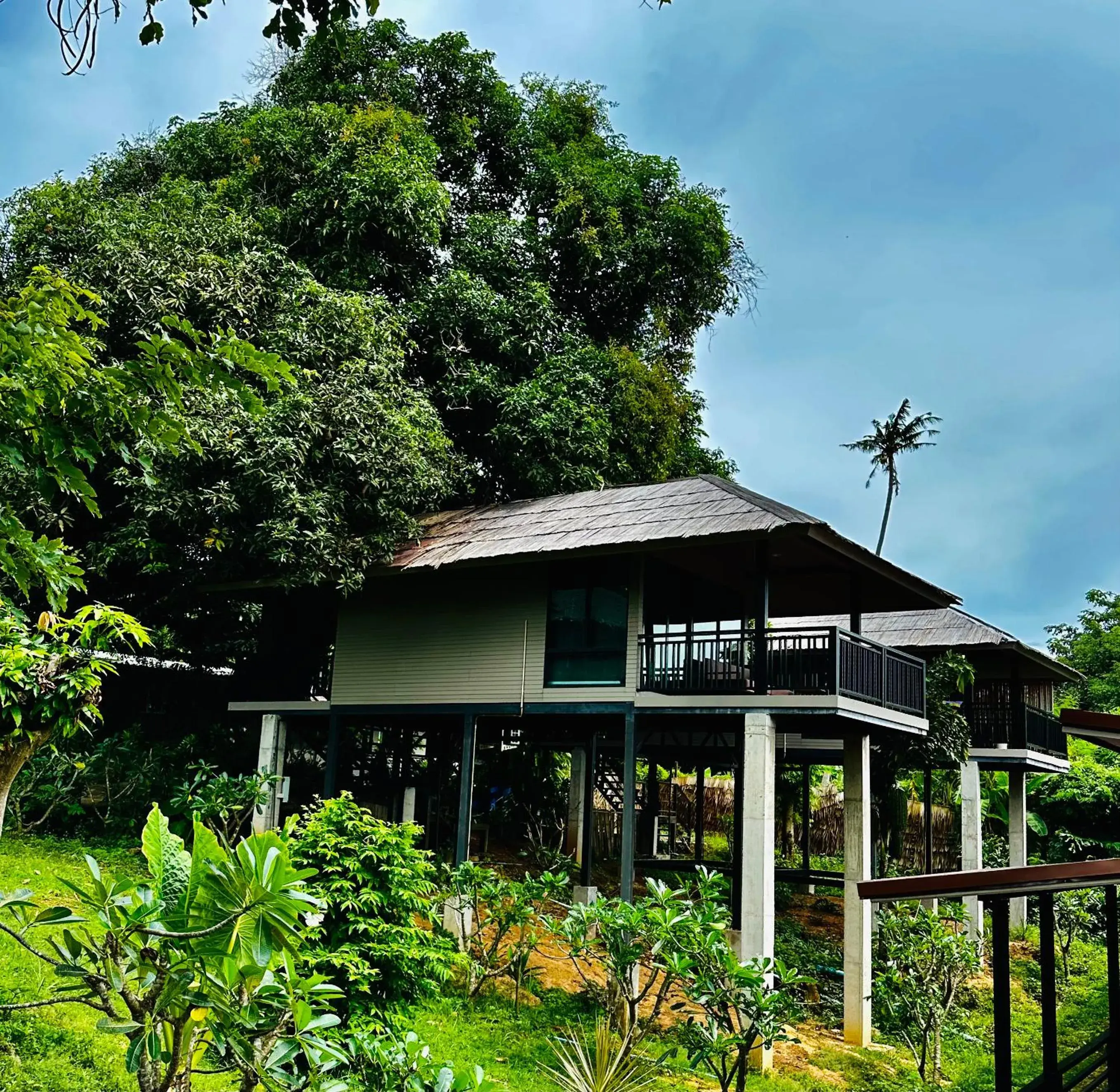 Property building in HIP Seaview Resort @ Phi Phi Property building in HIP Seaview Resort @ Phi Phi