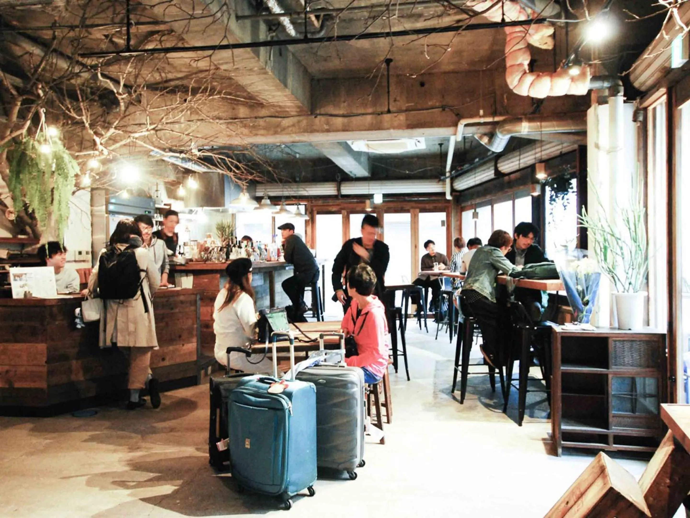 Restaurant/places to eat in Guesthouse RICO