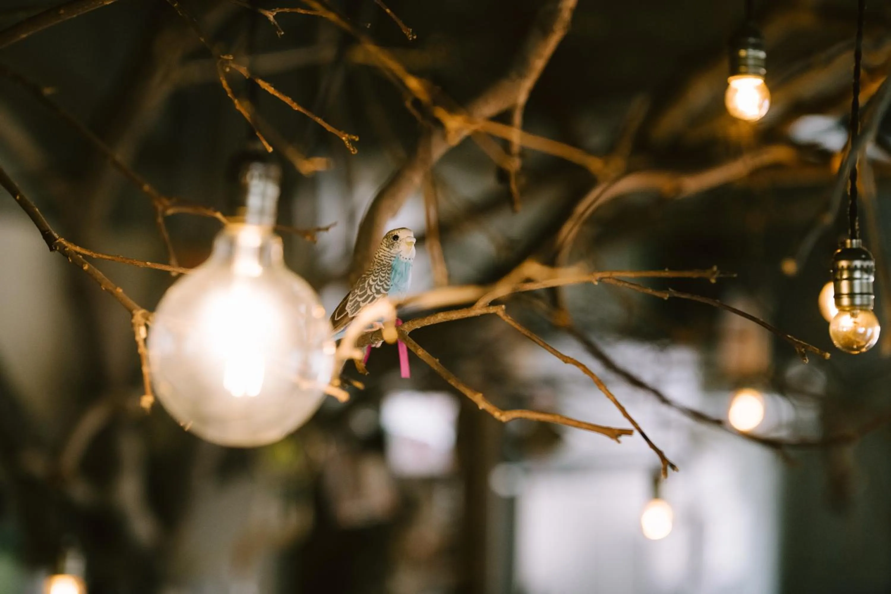 Lobby or reception in Guesthouse RICO