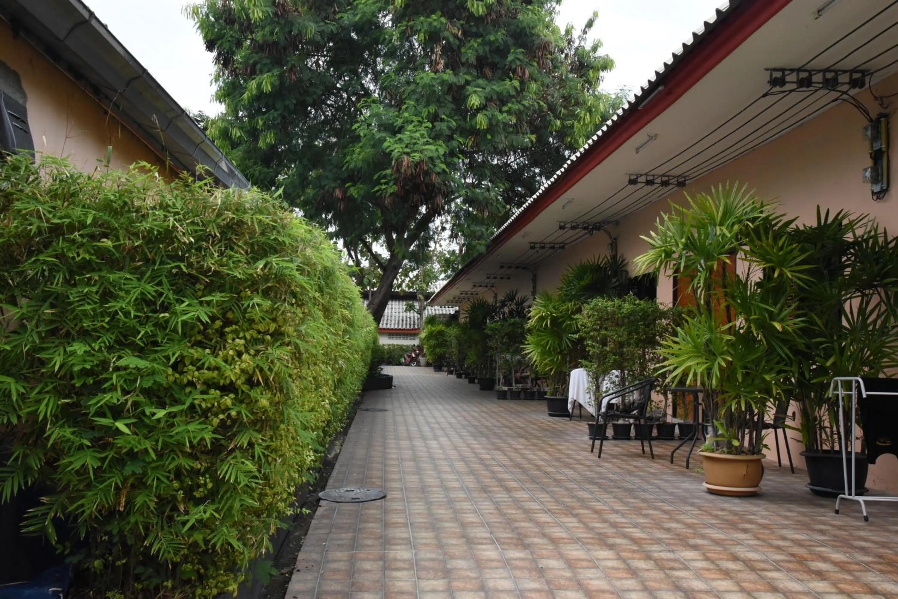 On site in Fairtex Residence Pattaya