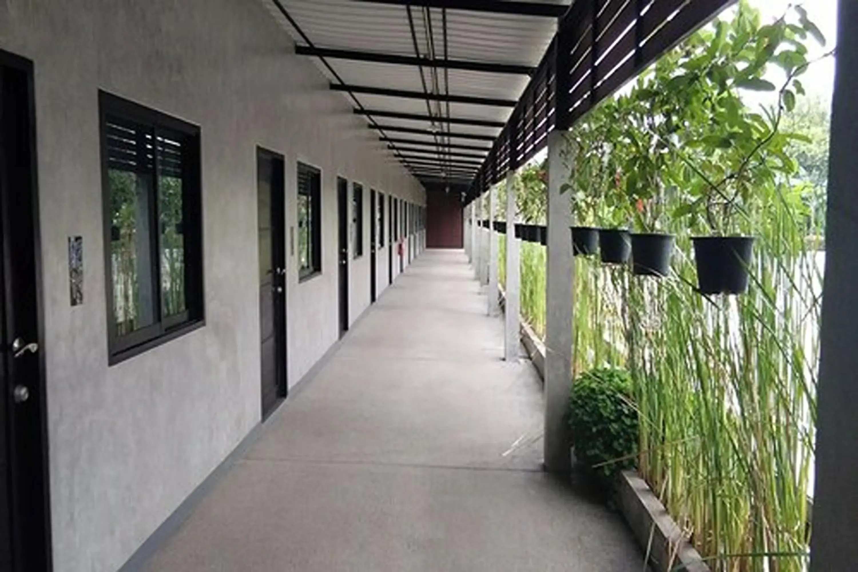 Property building in The Loft @Chiangrai Property building in The Loft @Chiangrai